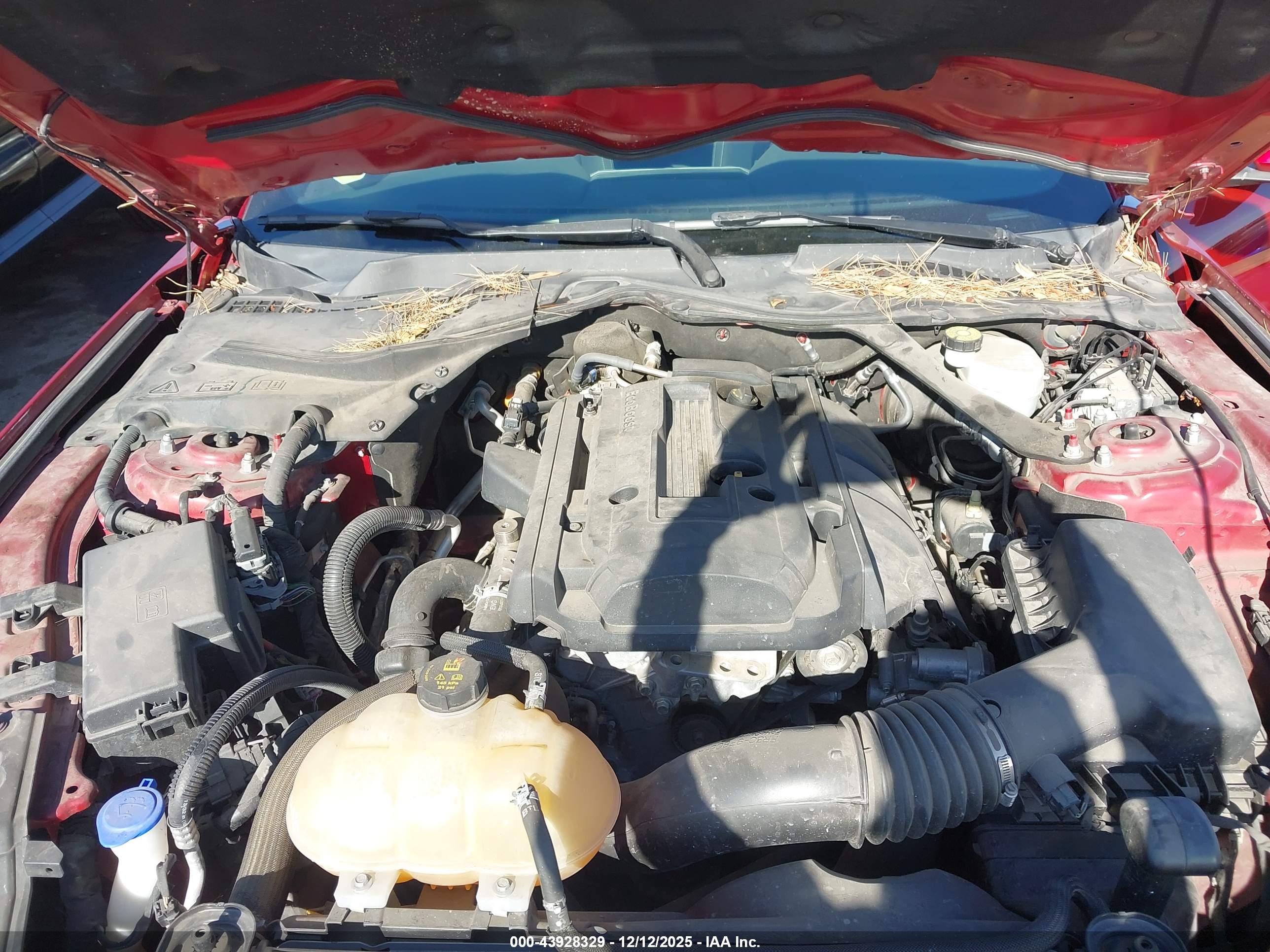 FORD MUSTANG image 10