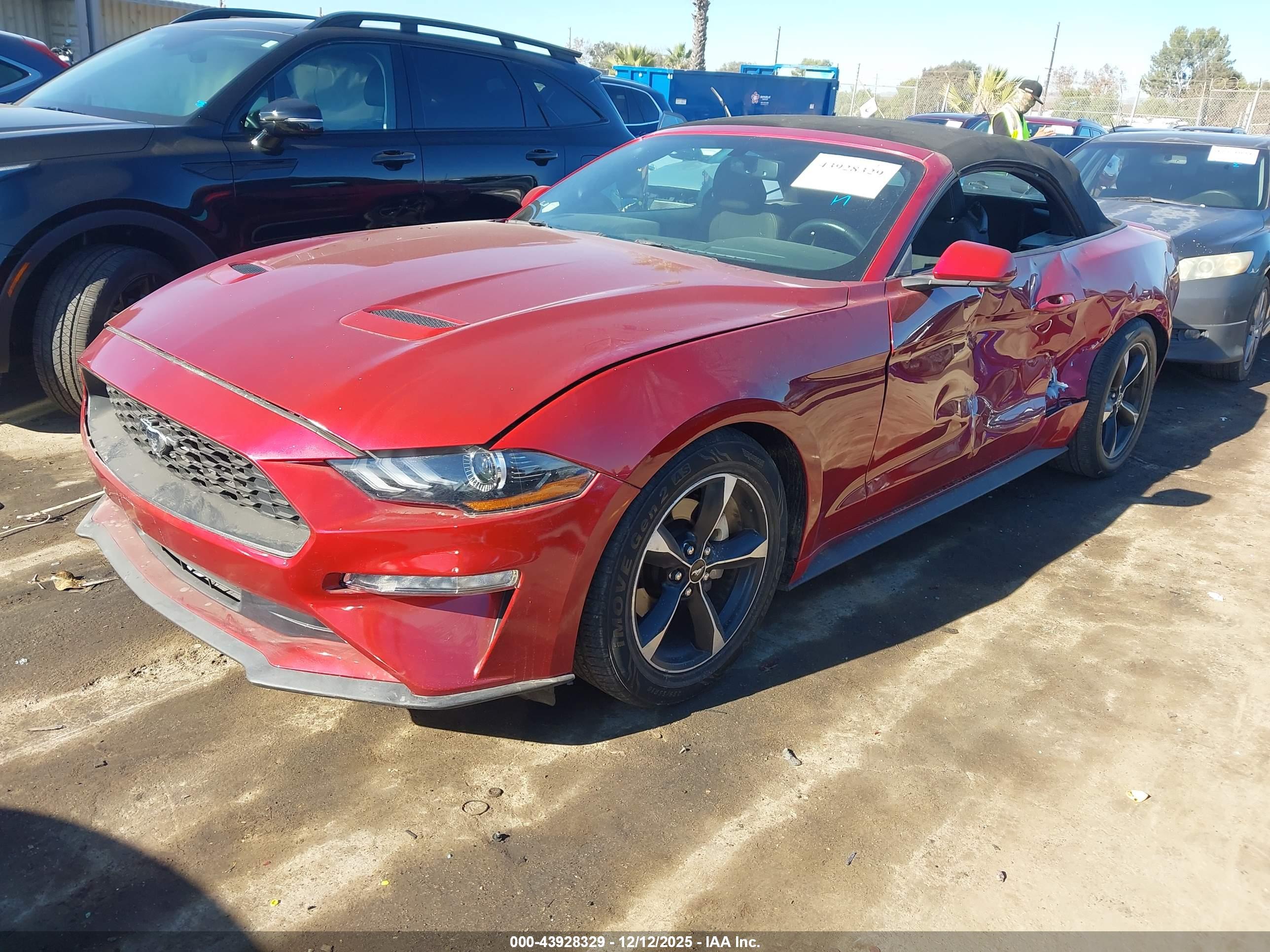 FORD MUSTANG image 2
