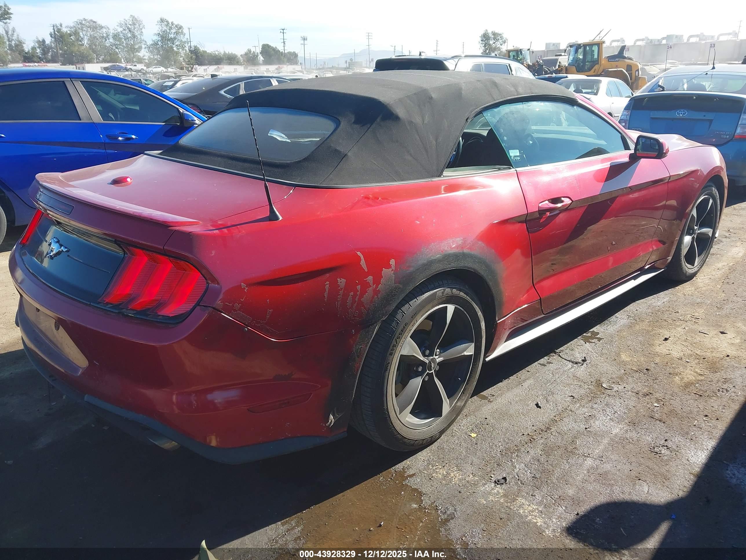 FORD MUSTANG image 4