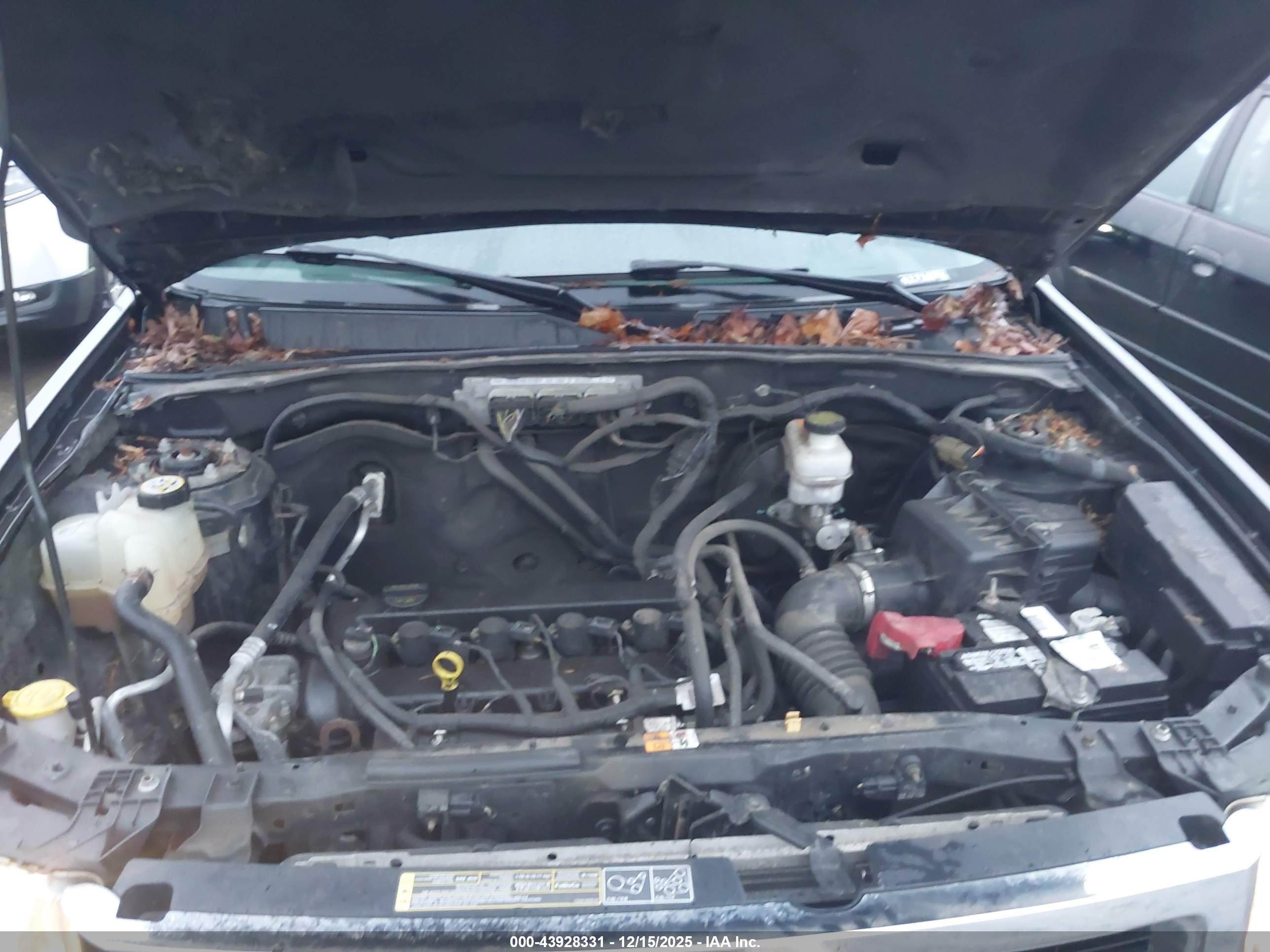 FORD ESCAPE image 10