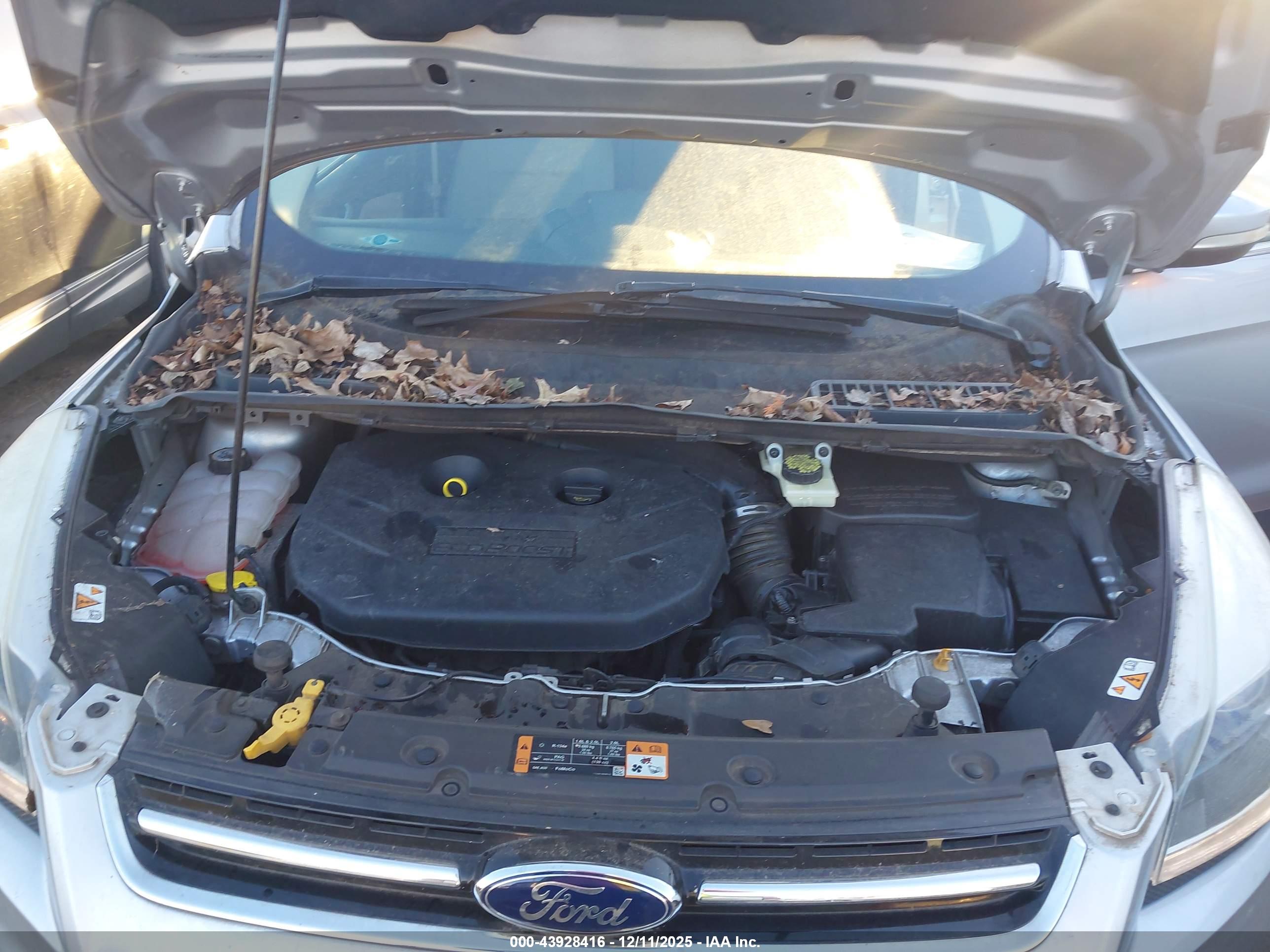 FORD ESCAPE image 10