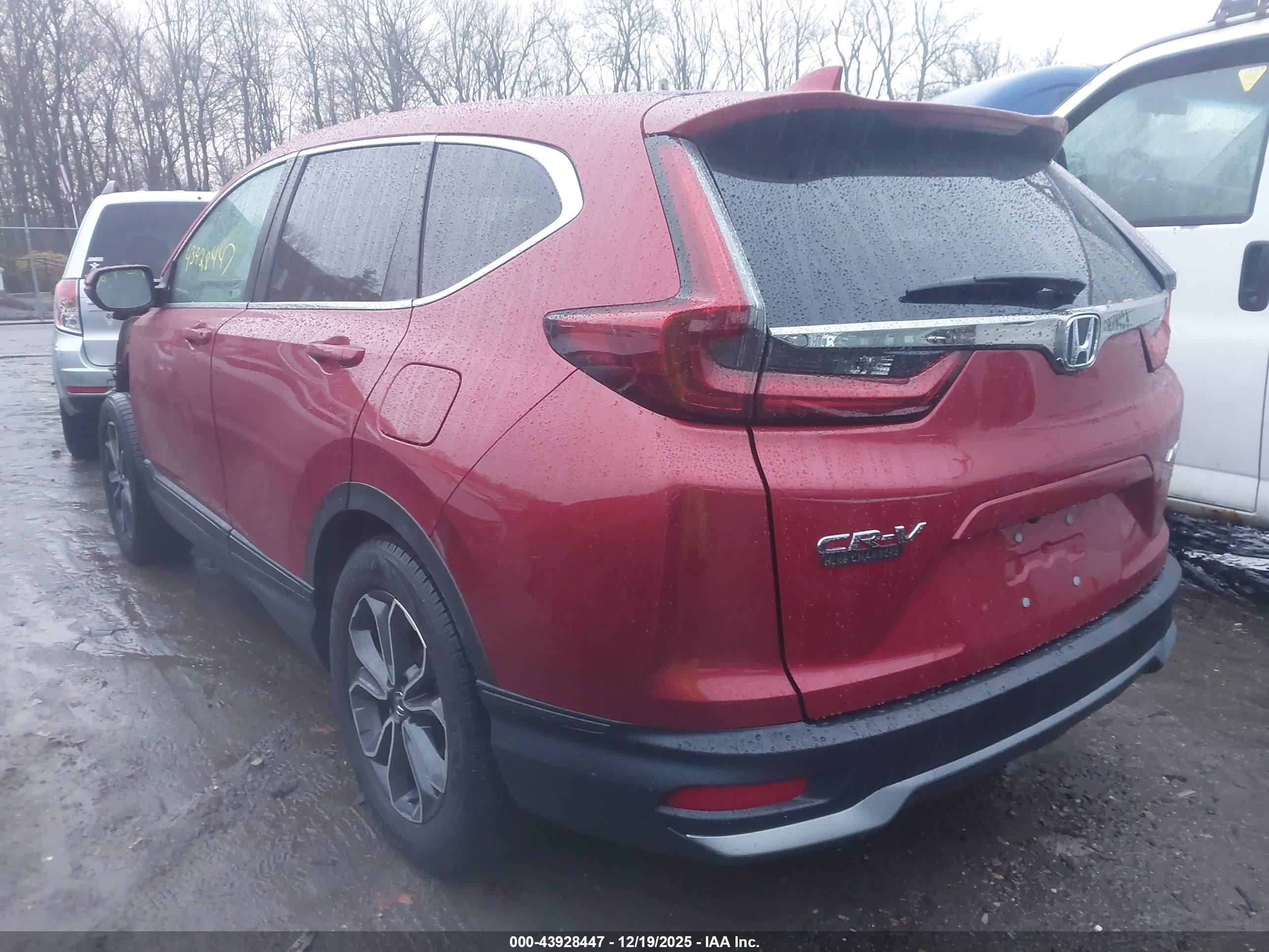 HONDA CR-V image 3