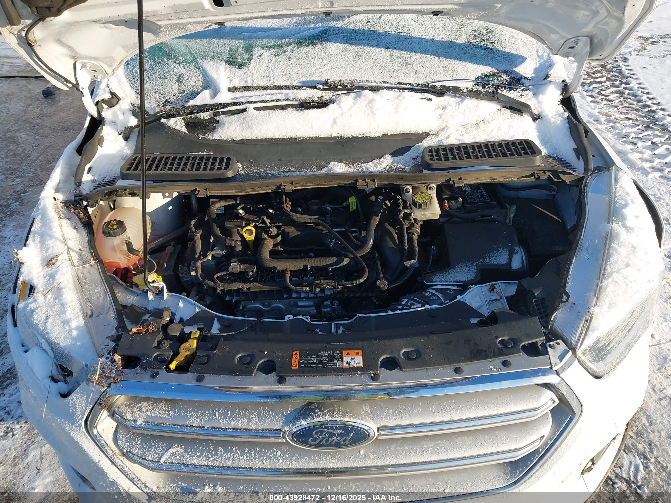 FORD ESCAPE image 10