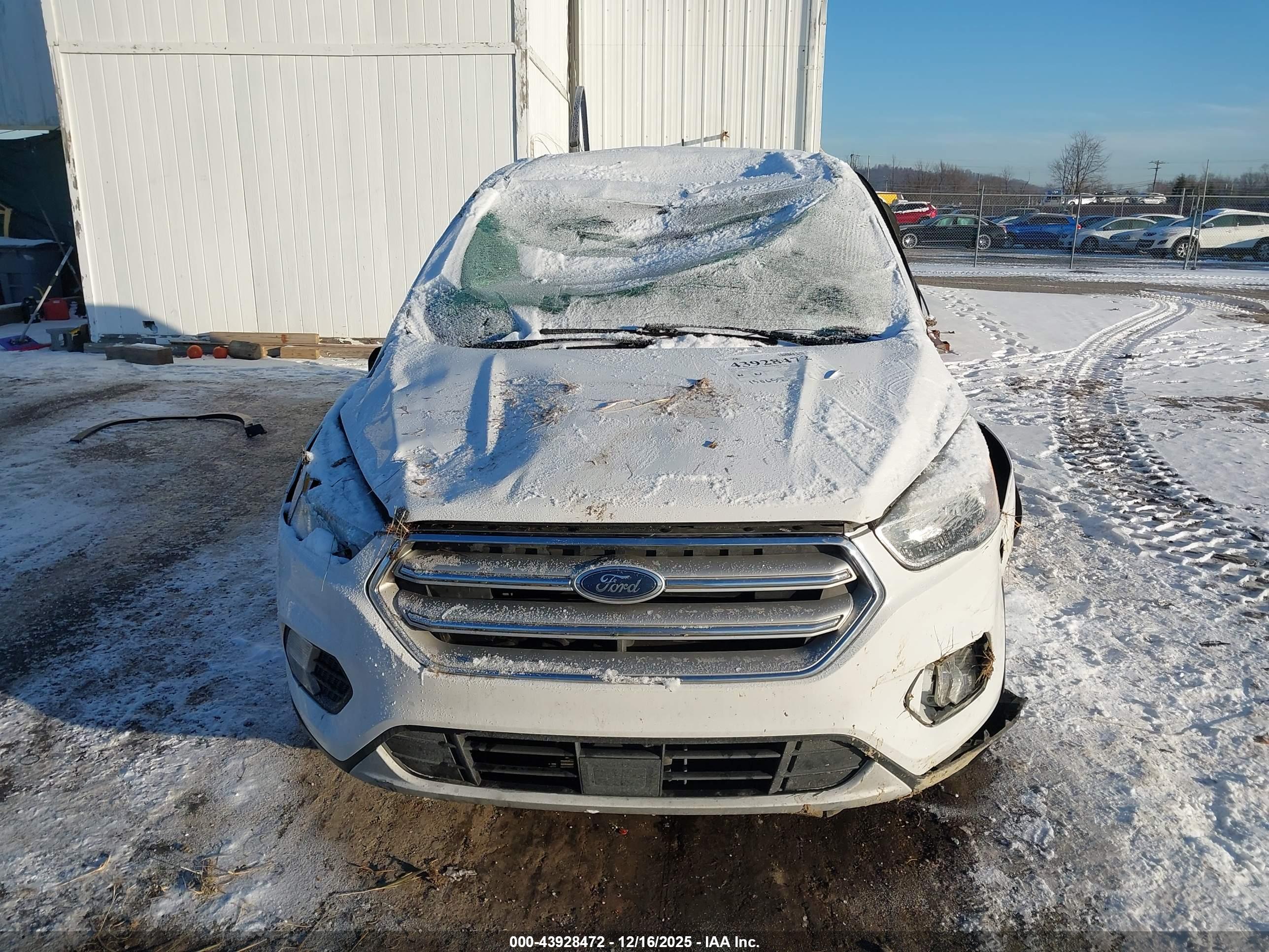 FORD ESCAPE image 6