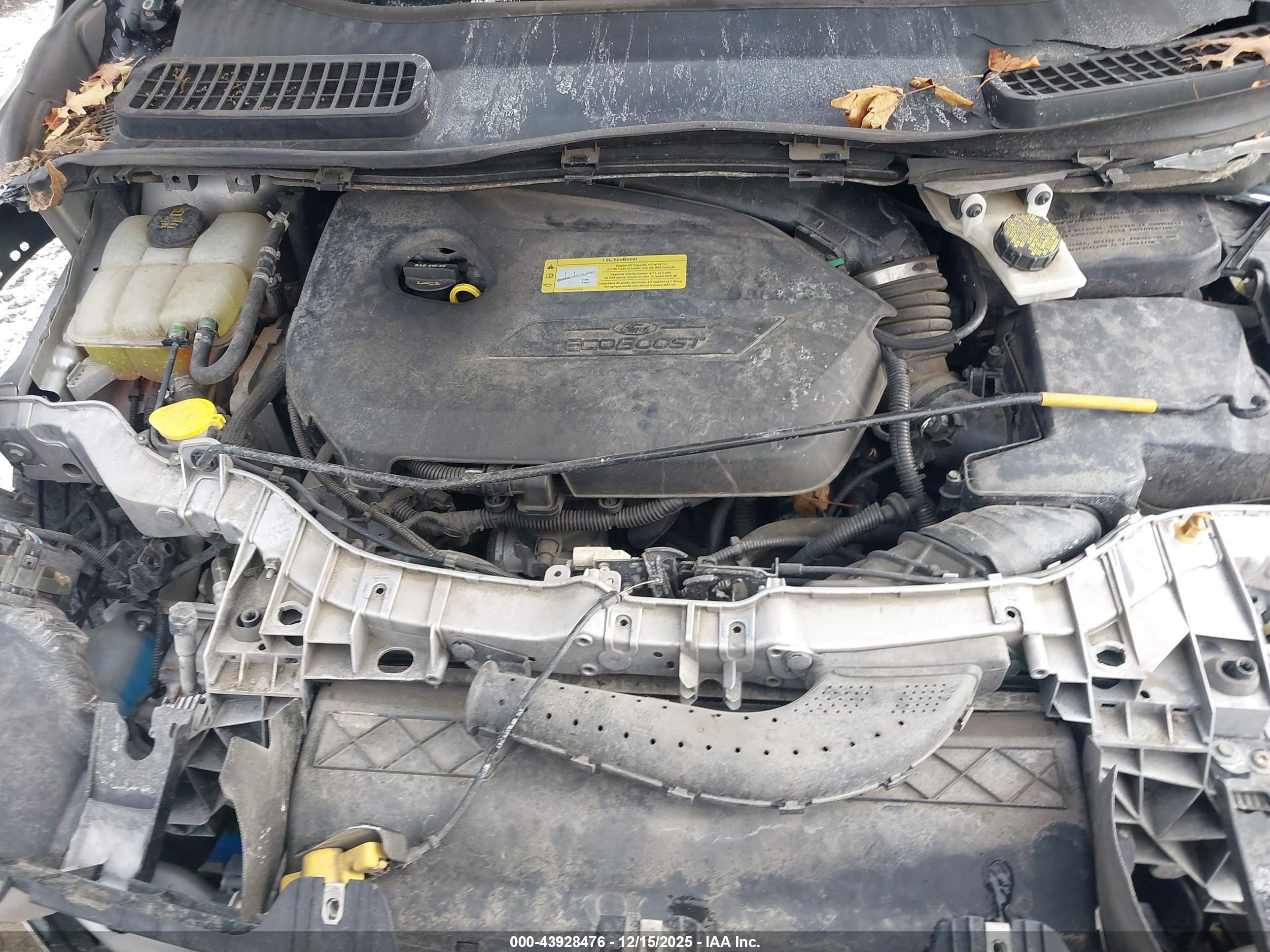 FORD ESCAPE image 10