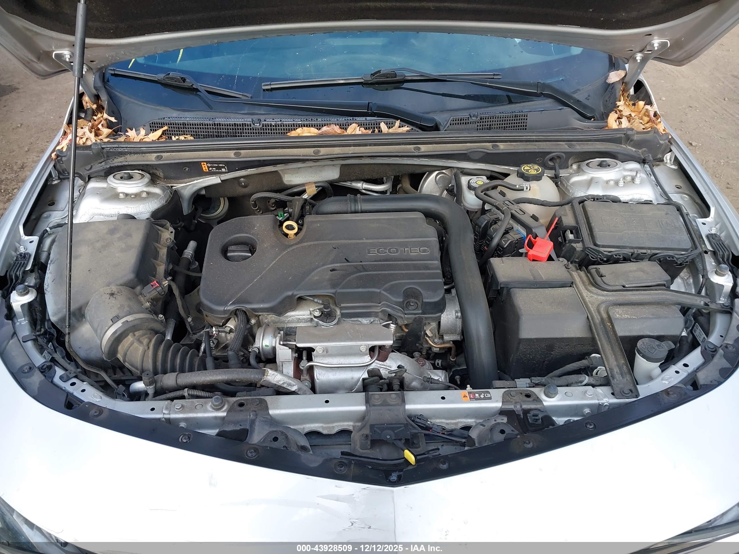 CHEVROLET MALIBU image 10