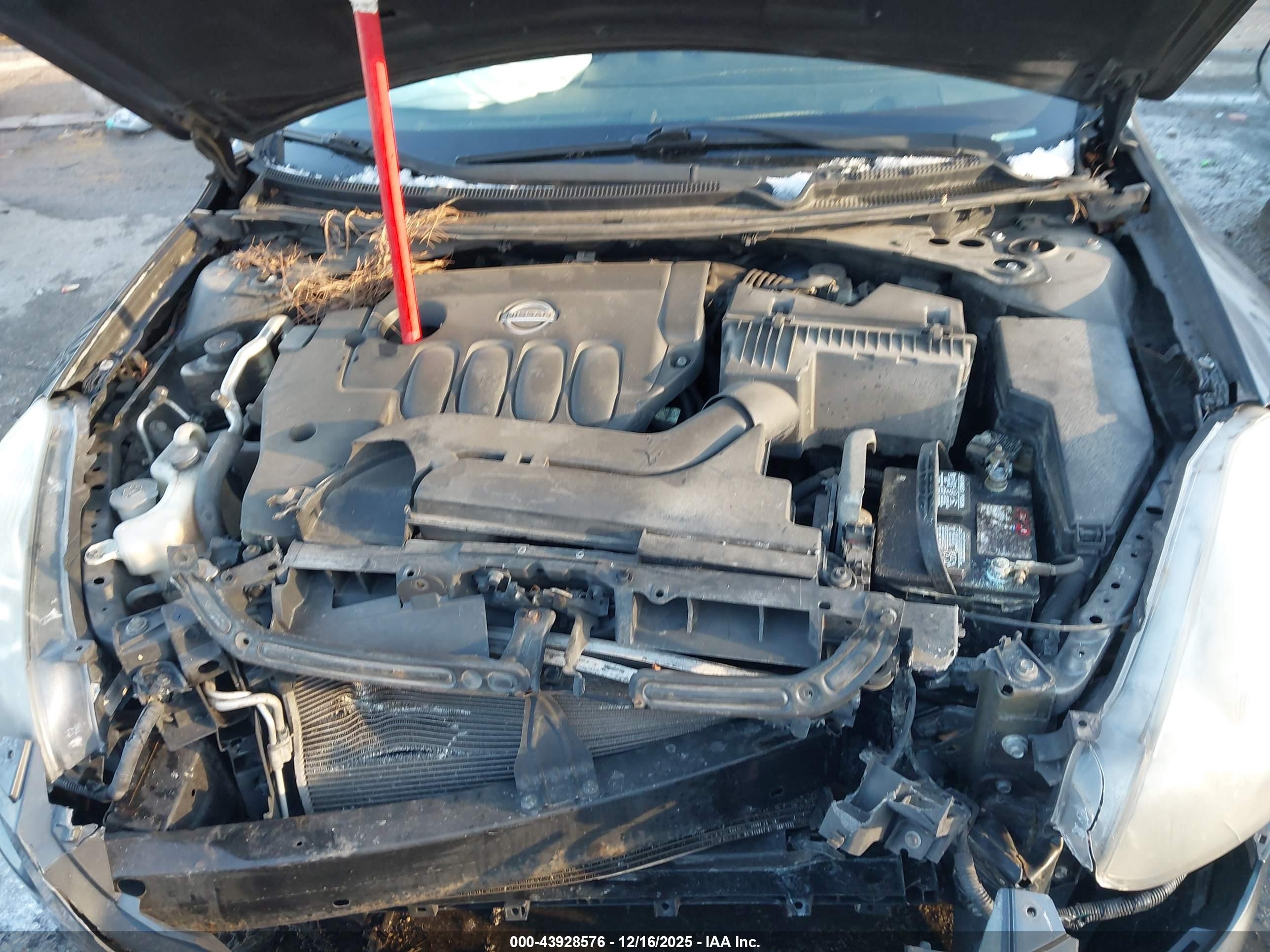 NISSAN ALTIMA image 10