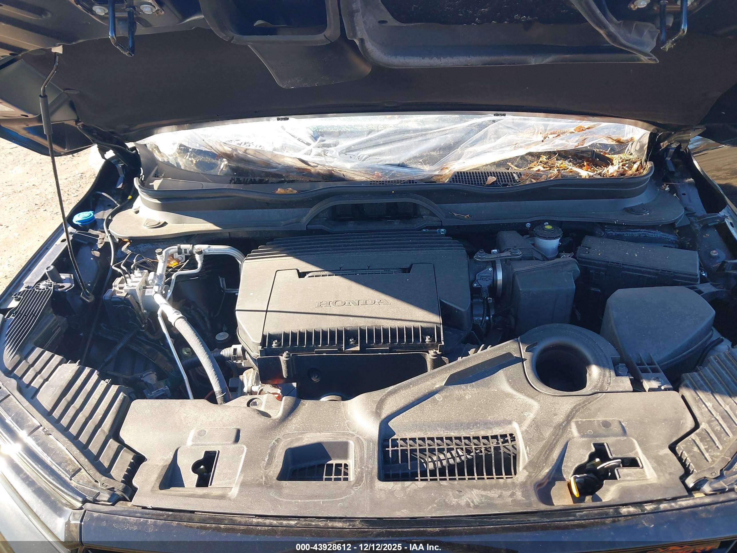 HONDA PILOT image 10
