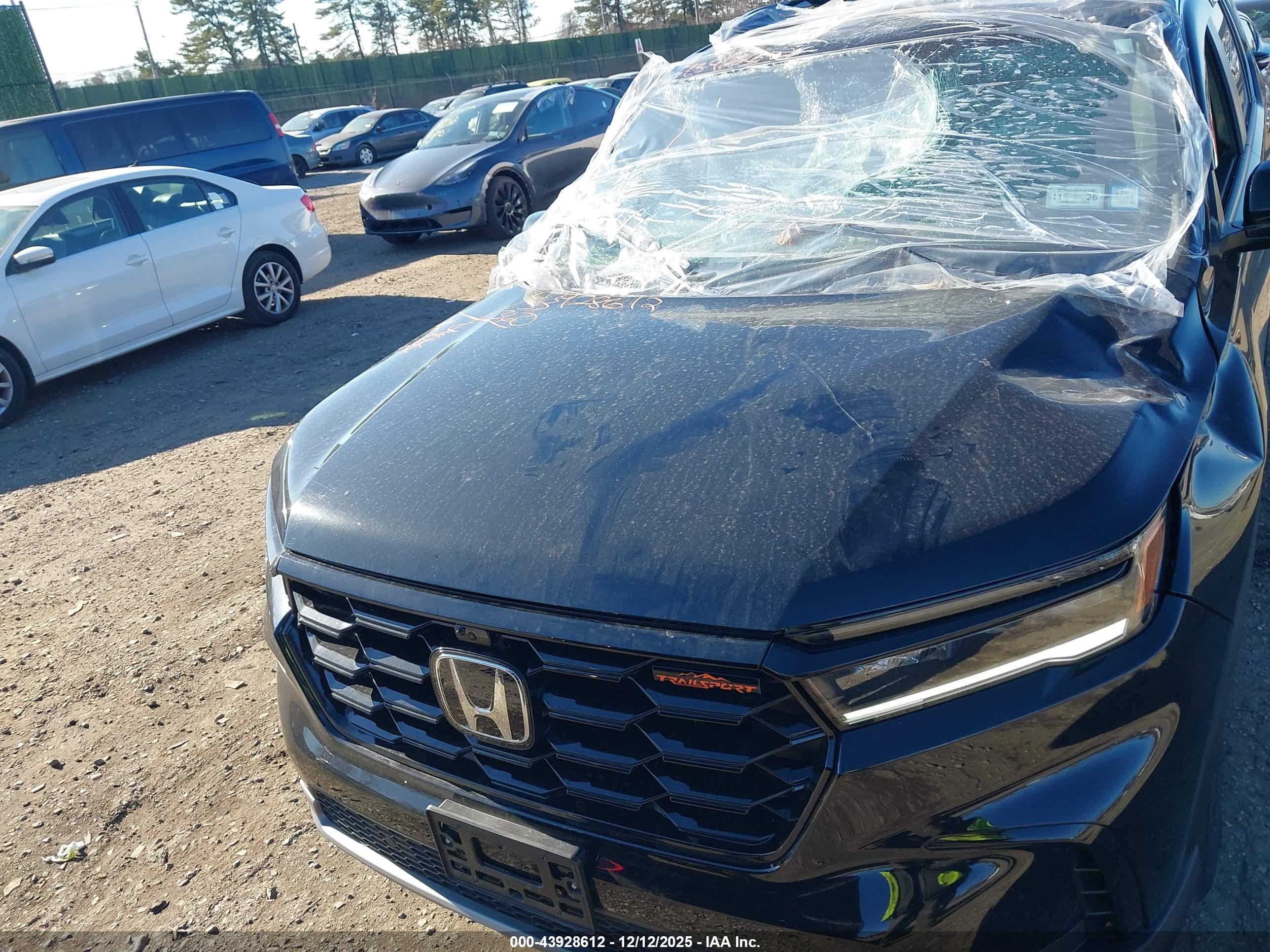 HONDA PILOT image 6