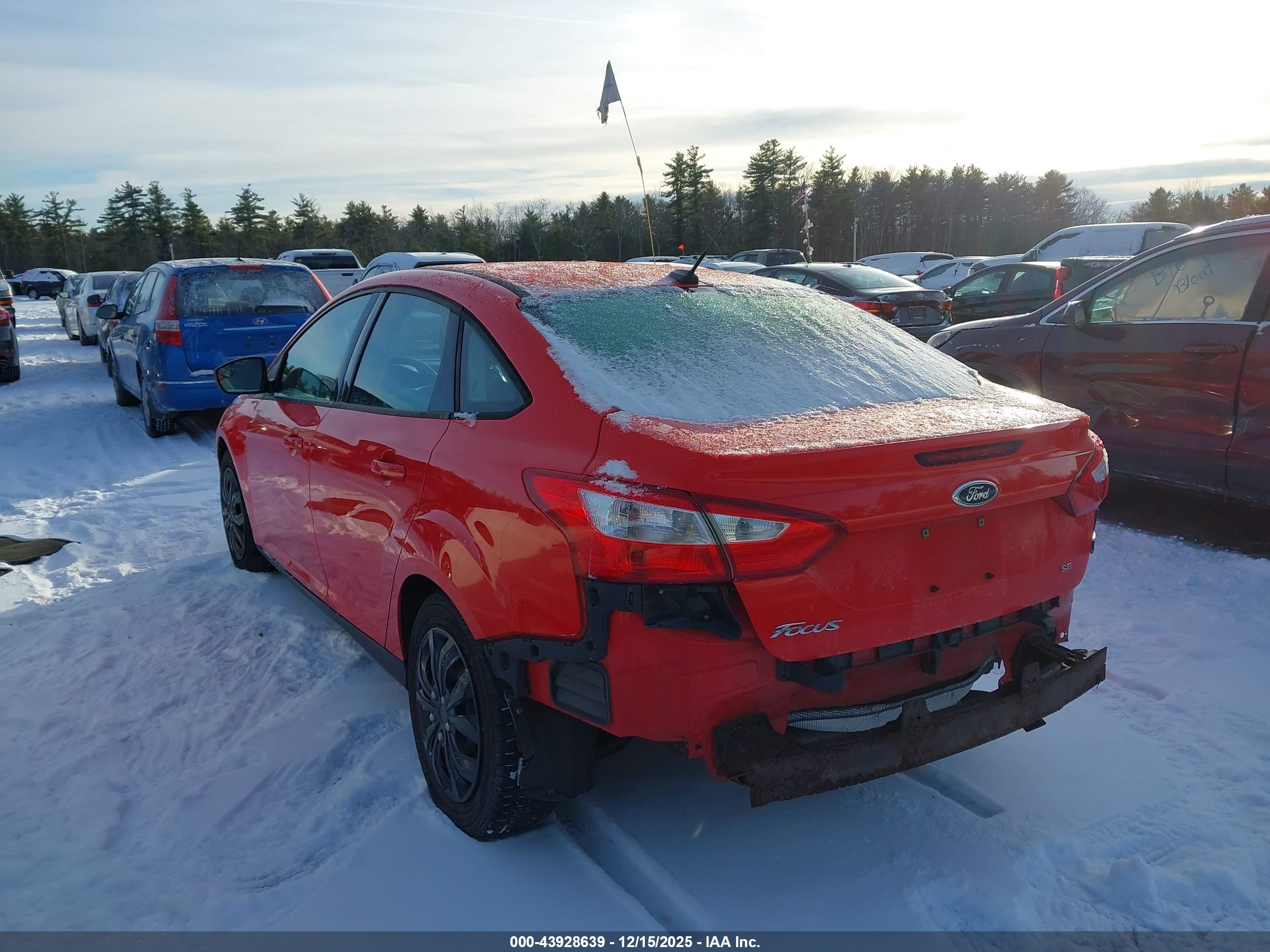 FORD FOCUS image 3
