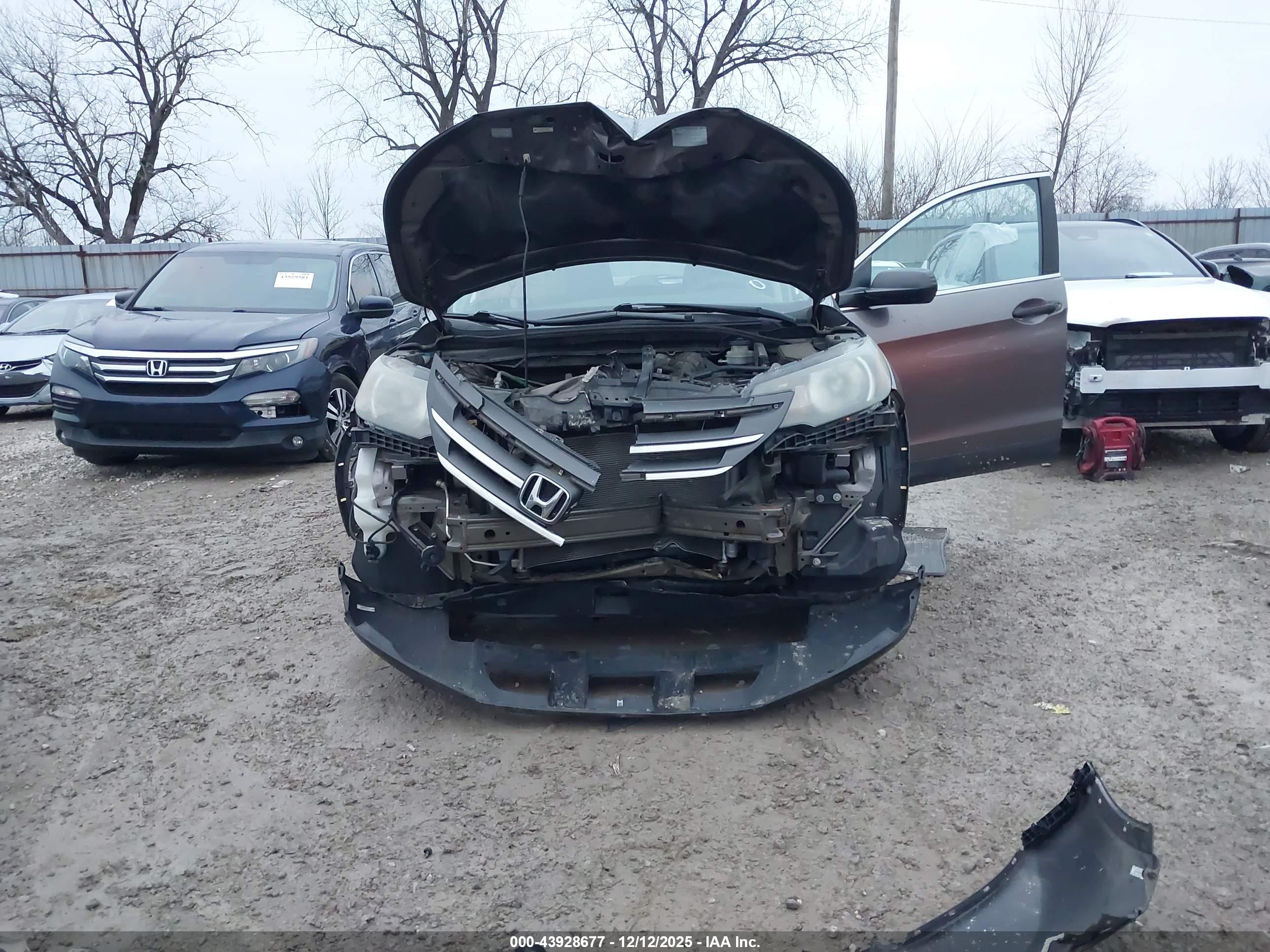 HONDA CR-V image 6