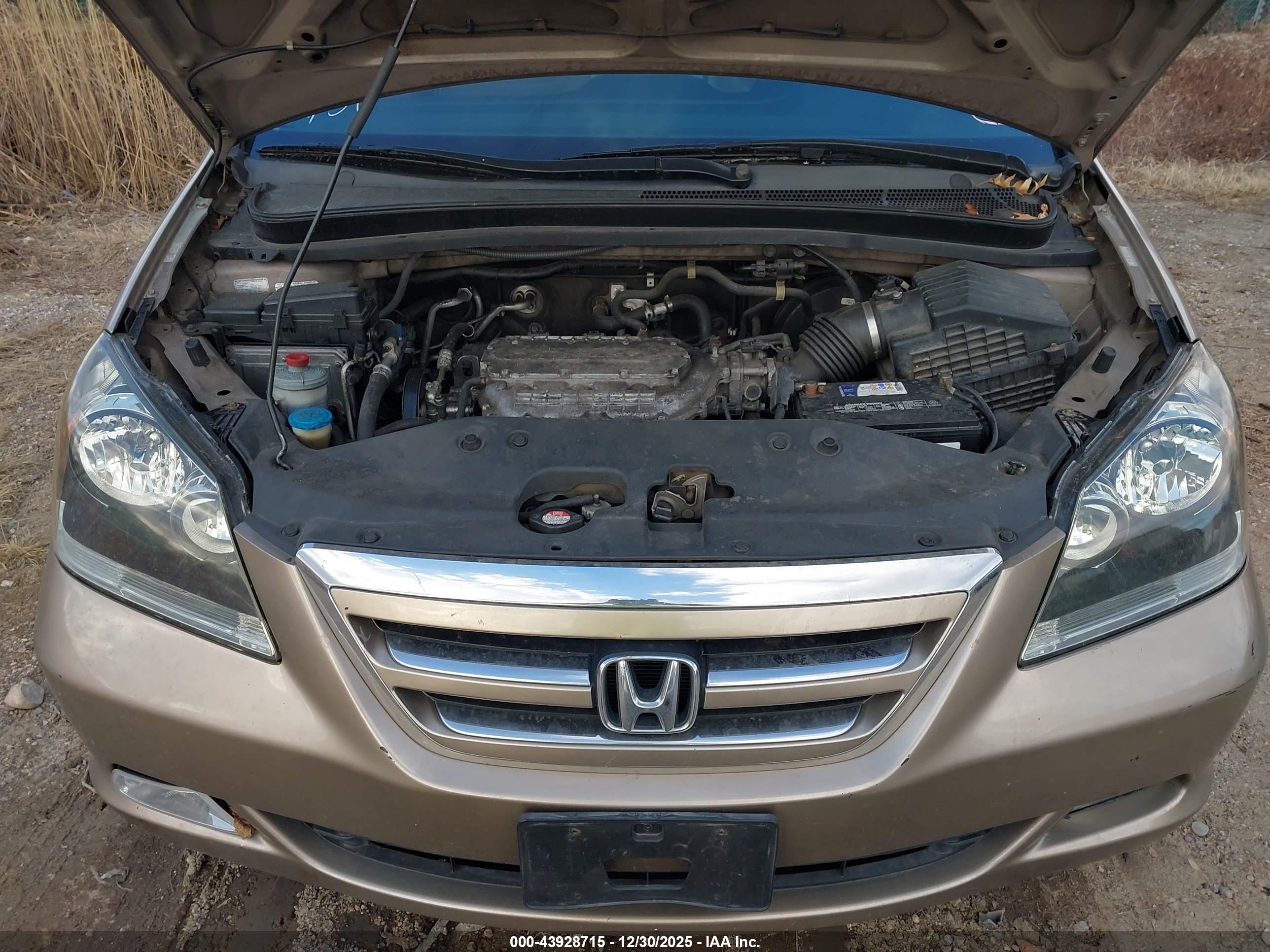HONDA ODYSSEY image 10