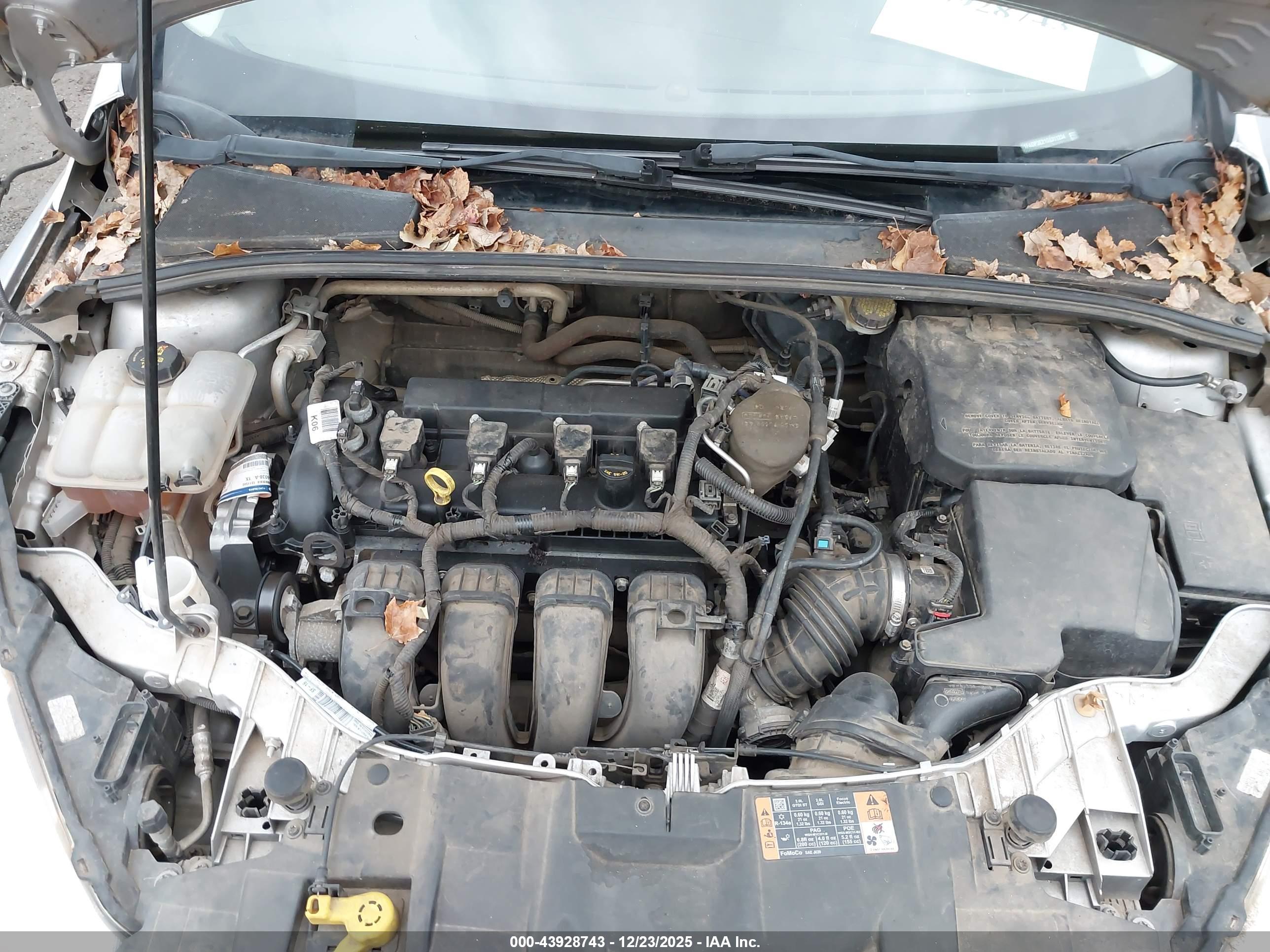 FORD FOCUS image 10