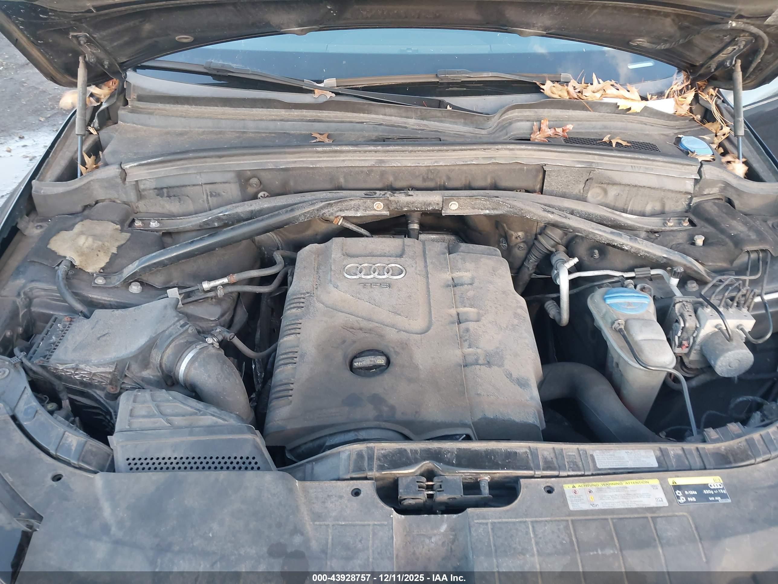 AUDI Q5 image 10