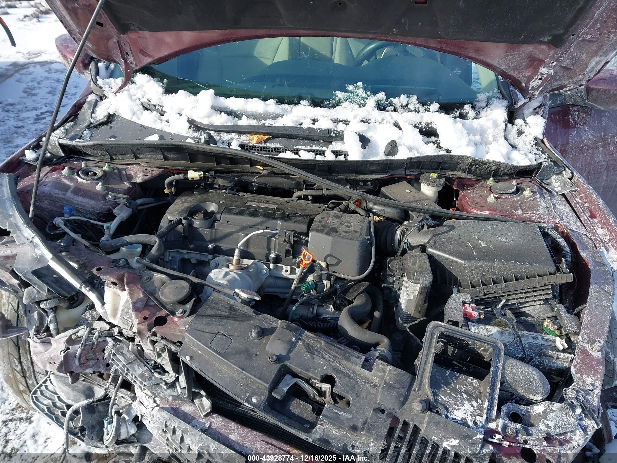 HONDA ACCORD image 10