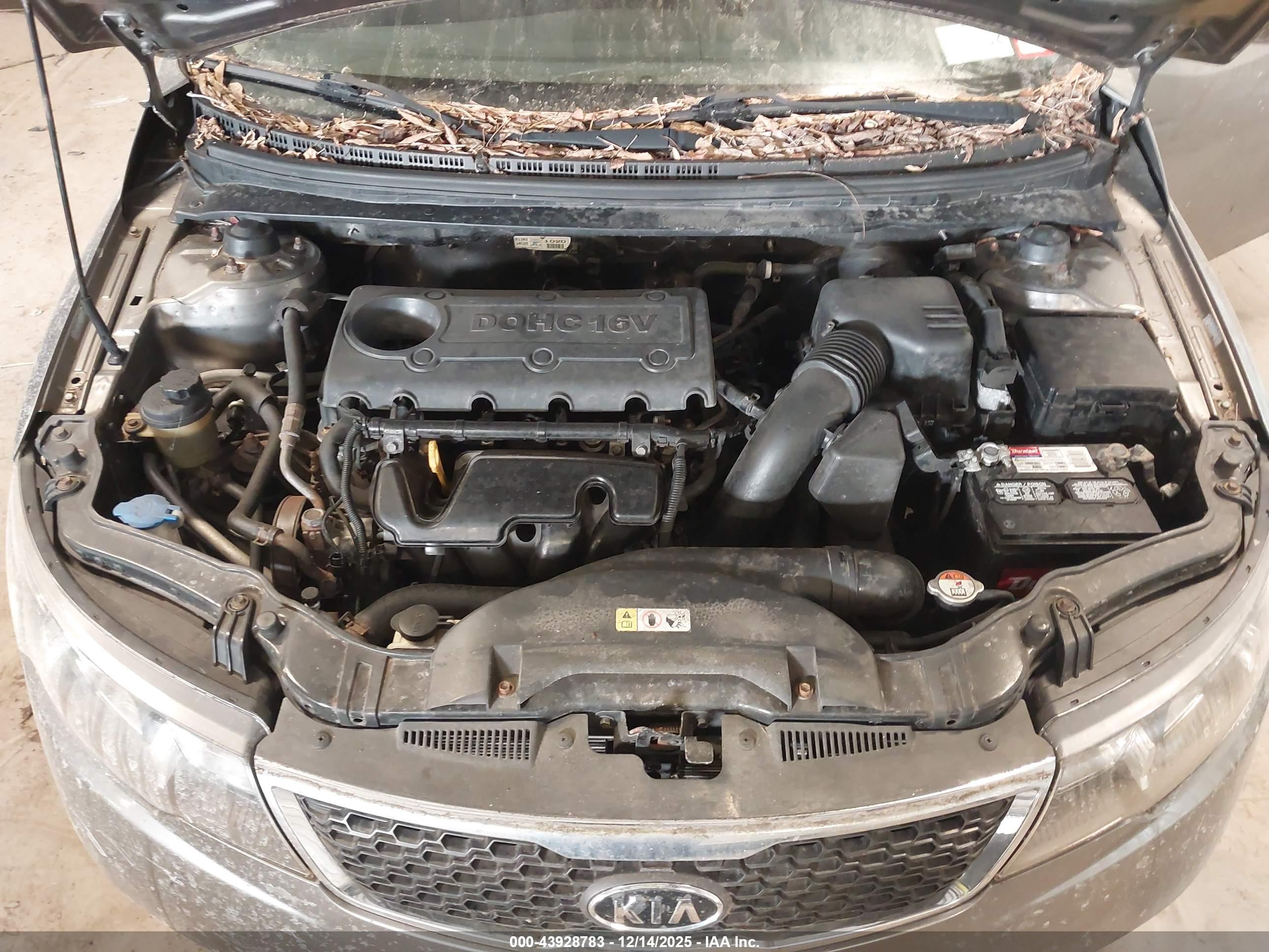 KIA FORTE image 10
