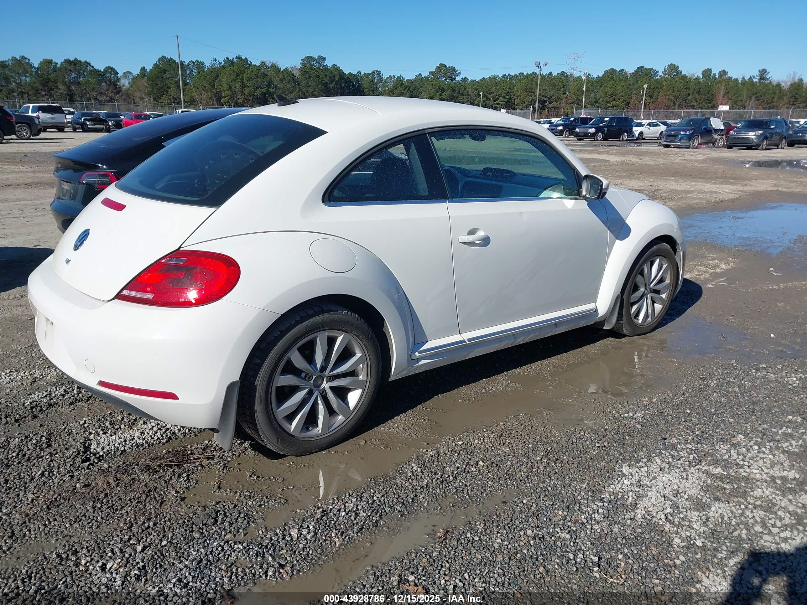 VOLKSWAGEN BEETLE image 4