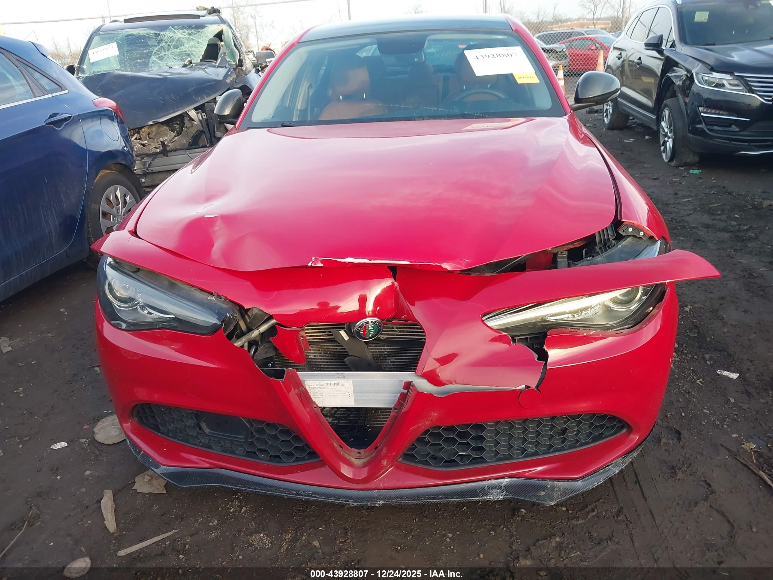 ALFA ROMEO image 6