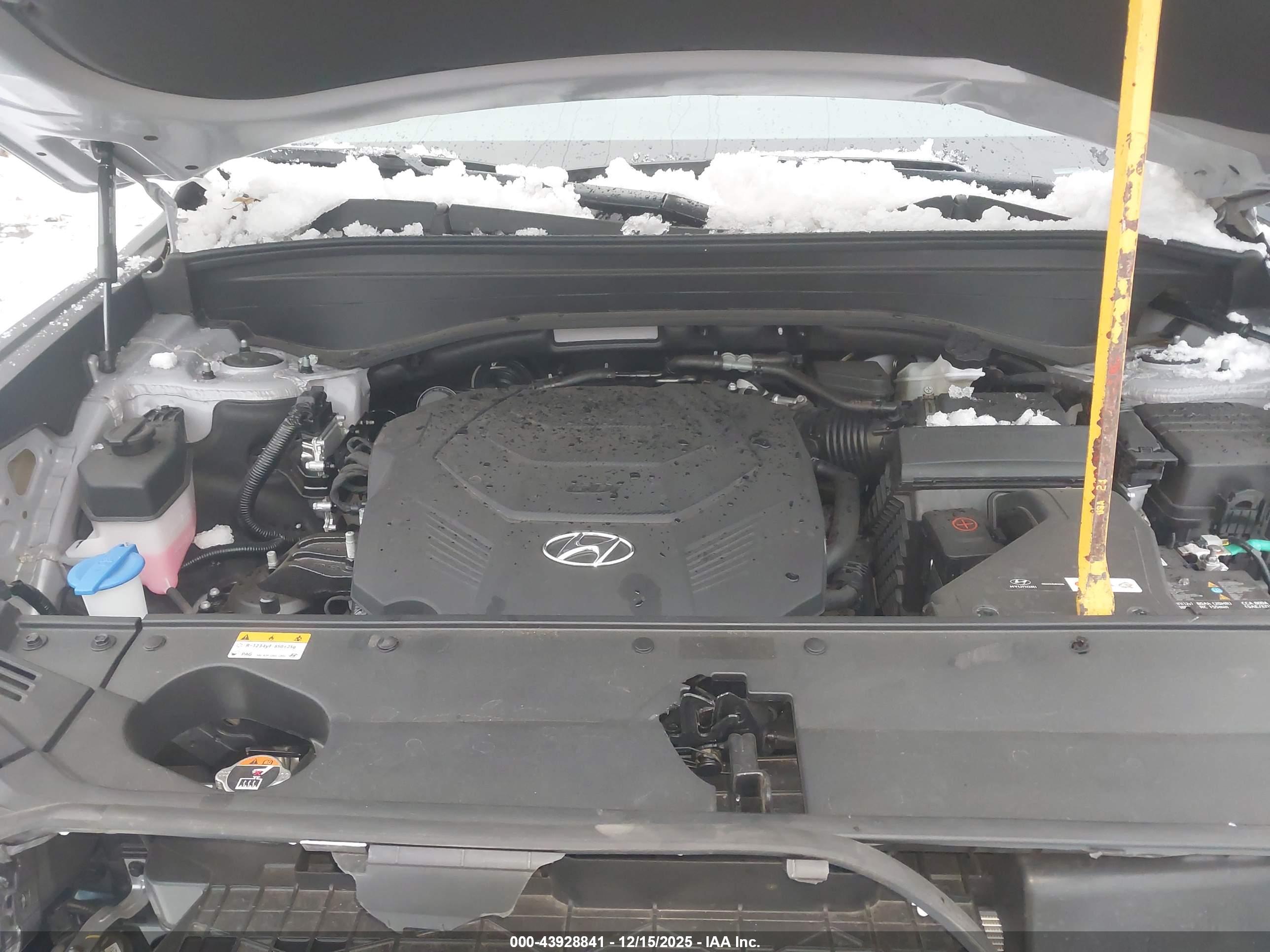 HYUNDAI PALISADE image 10