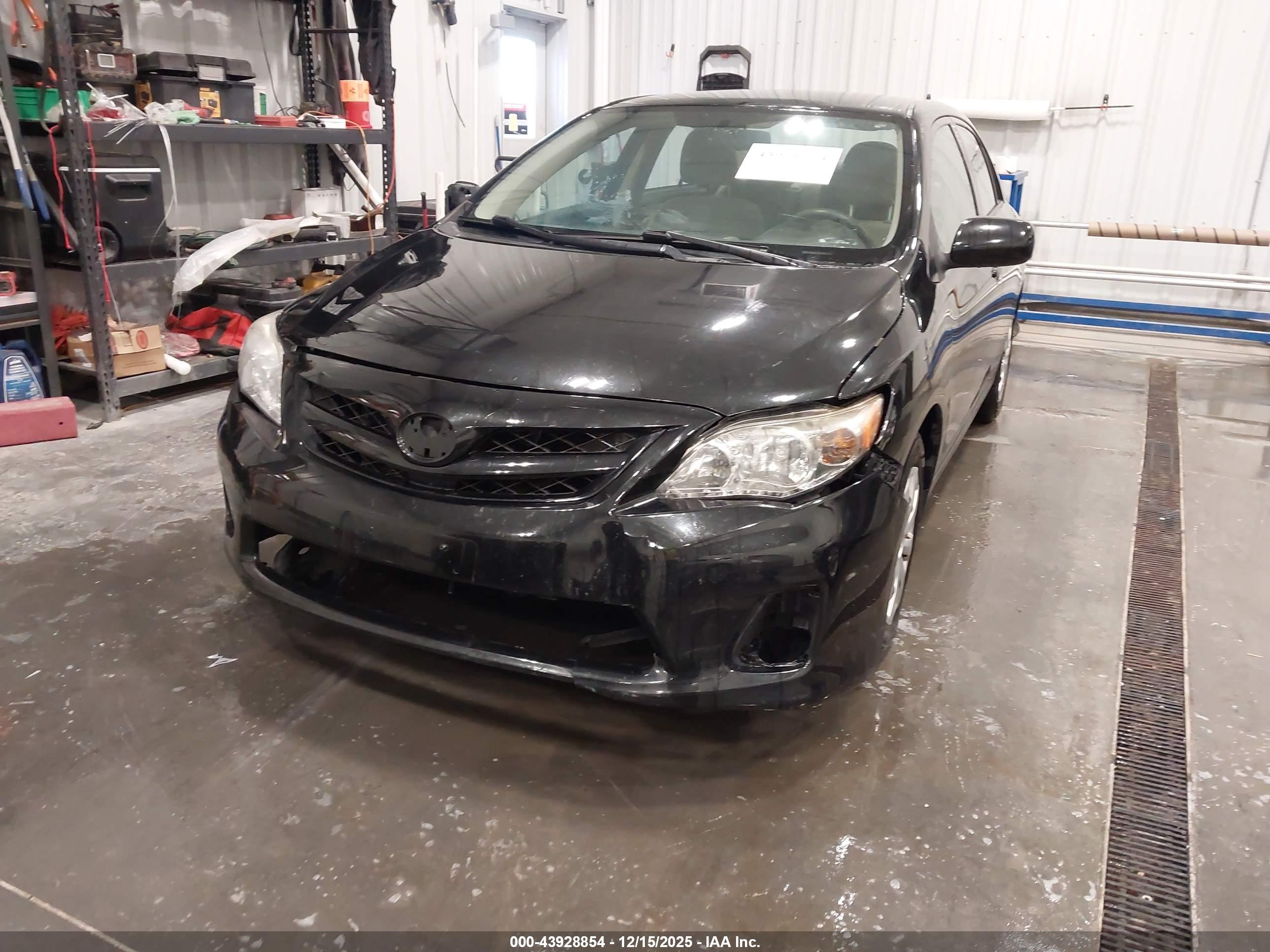 TOYOTA COROLLA image 6