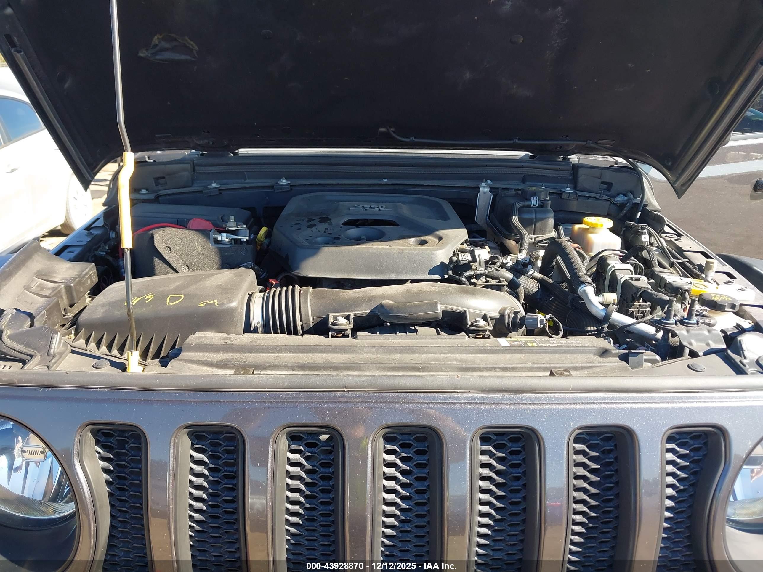JEEP WRANGLER image 10