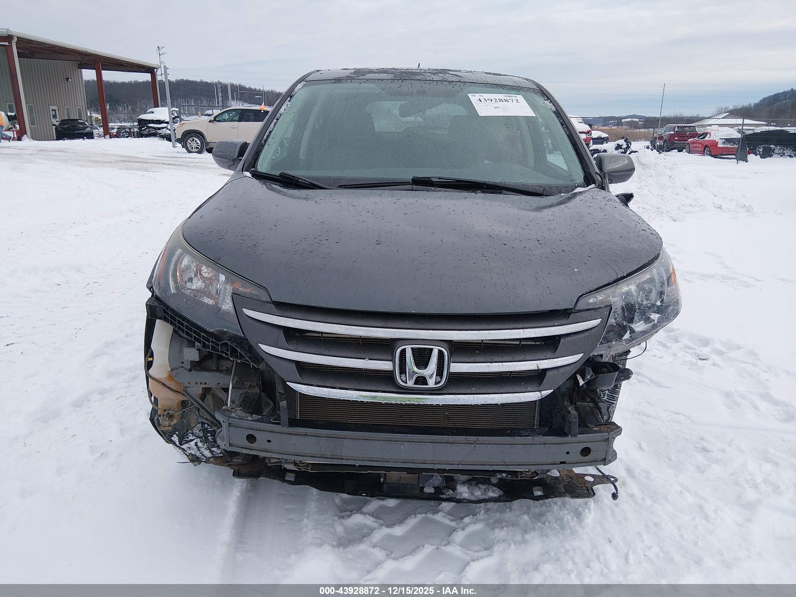 HONDA CR-V image 6