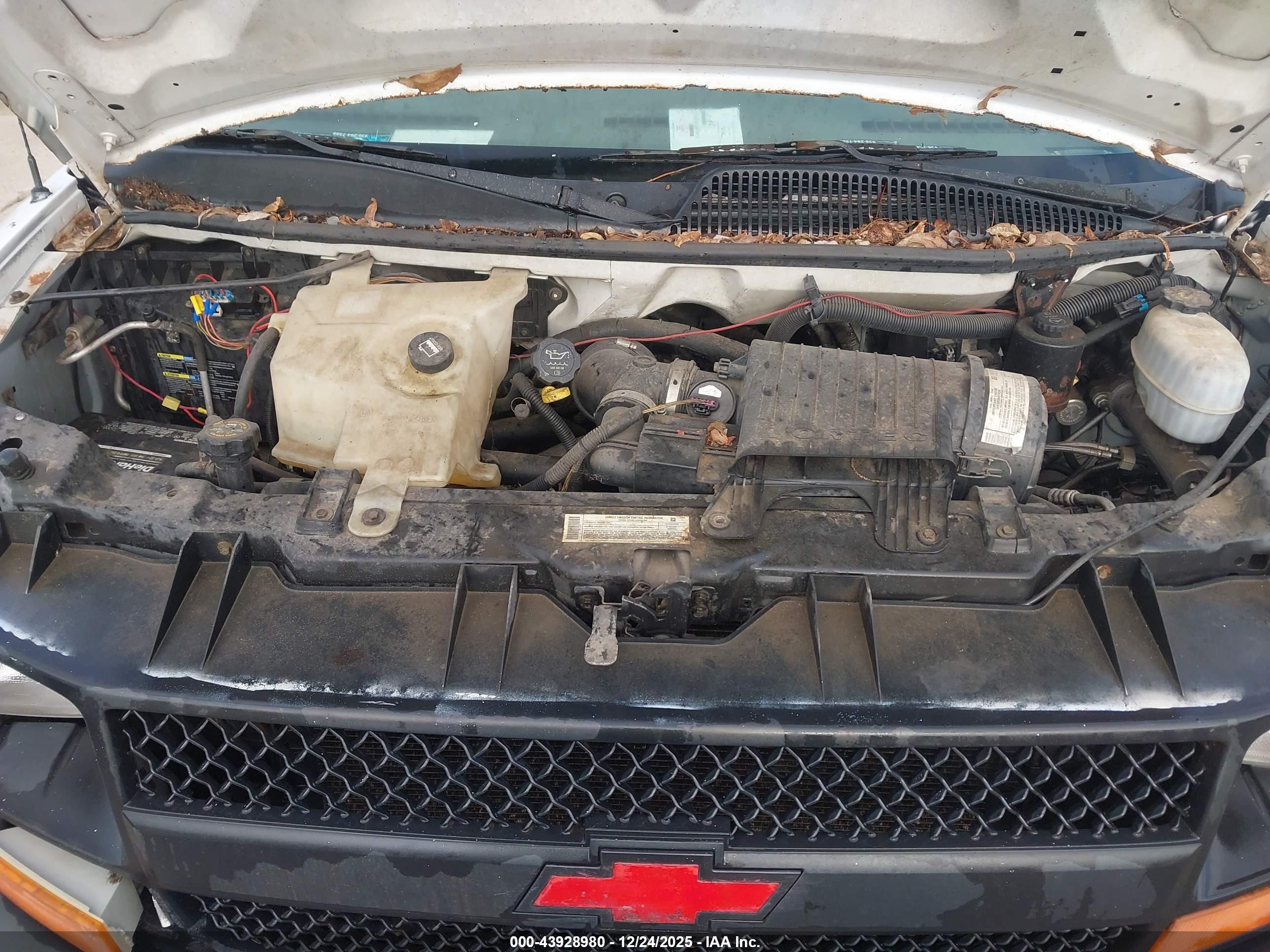 CHEVROLET EXPRESS image 10