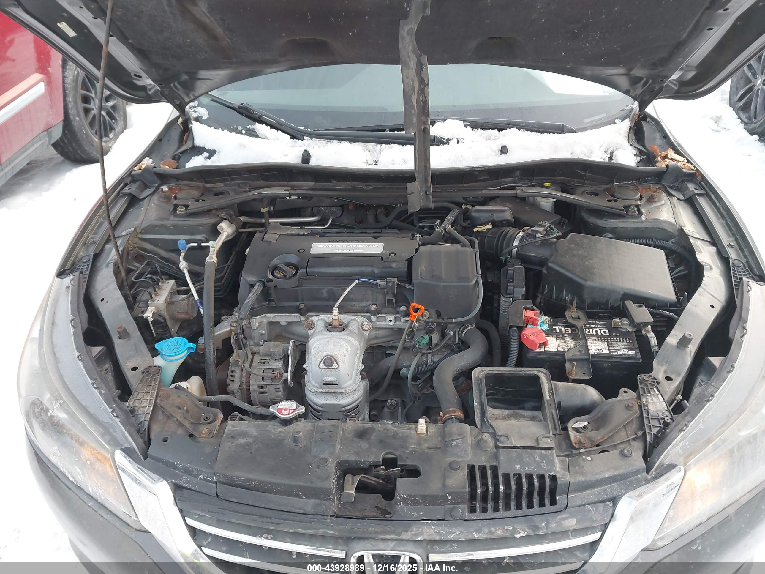 HONDA ACCORD image 10