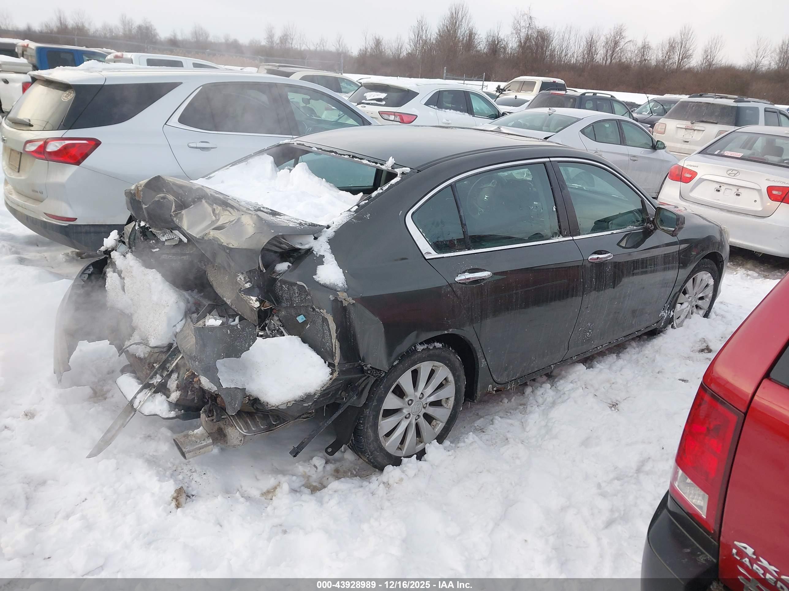 HONDA ACCORD image 4