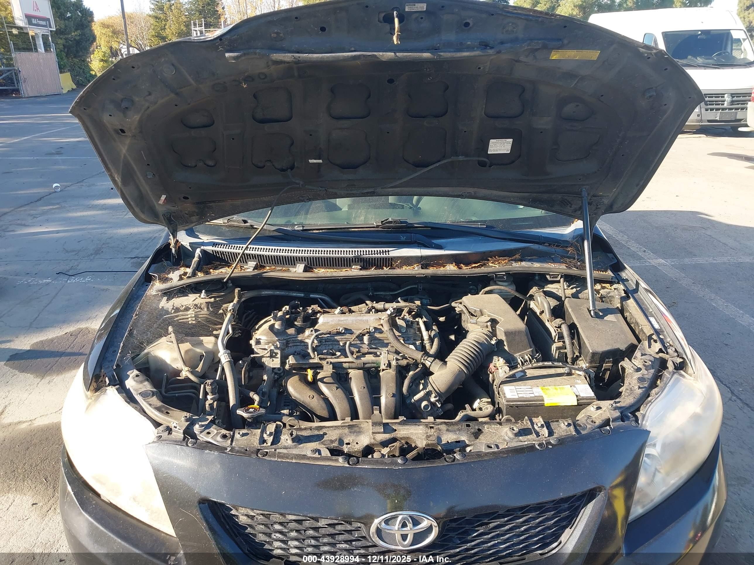 TOYOTA COROLLA image 10