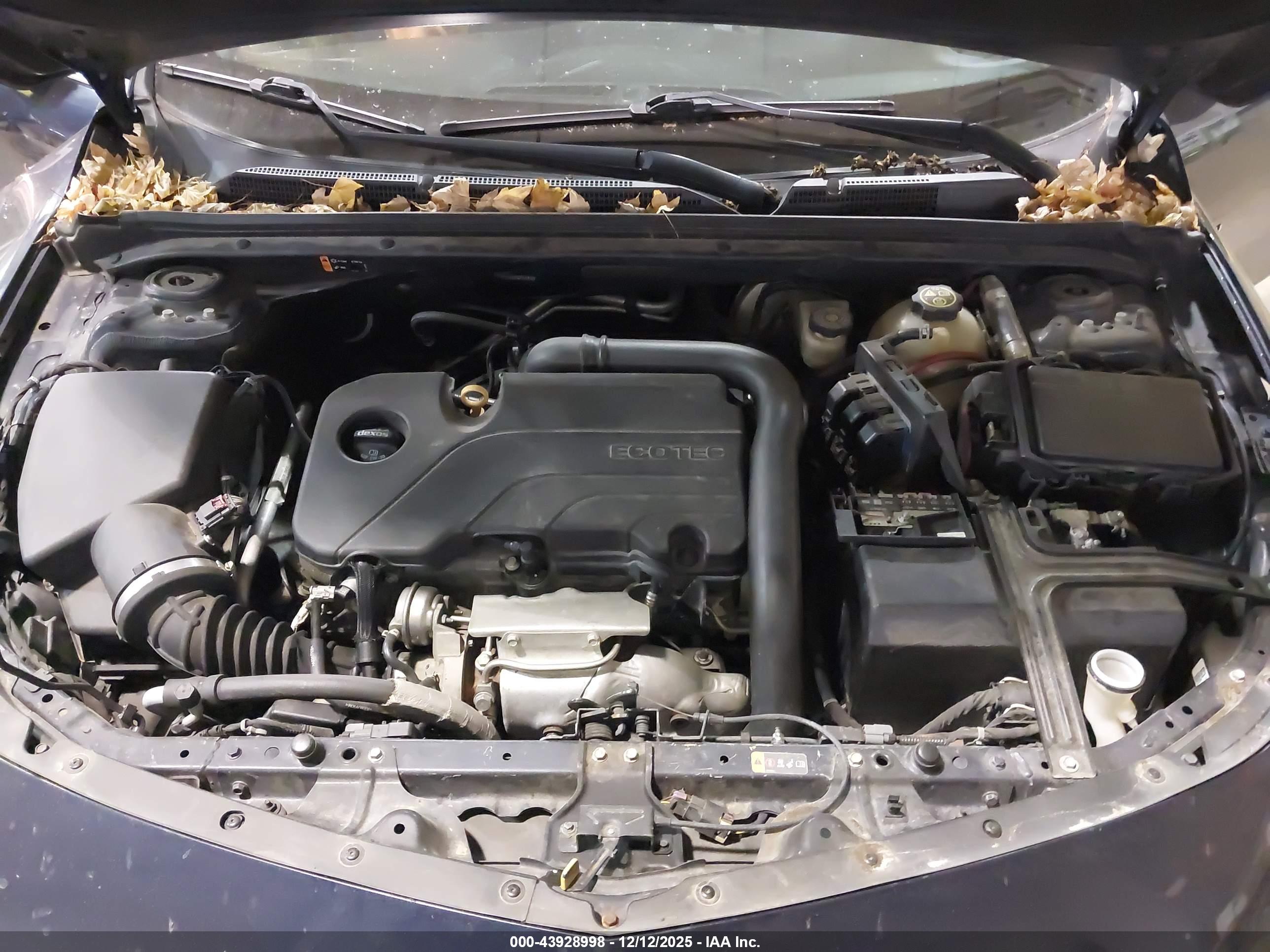 CHEVROLET MALIBU image 10