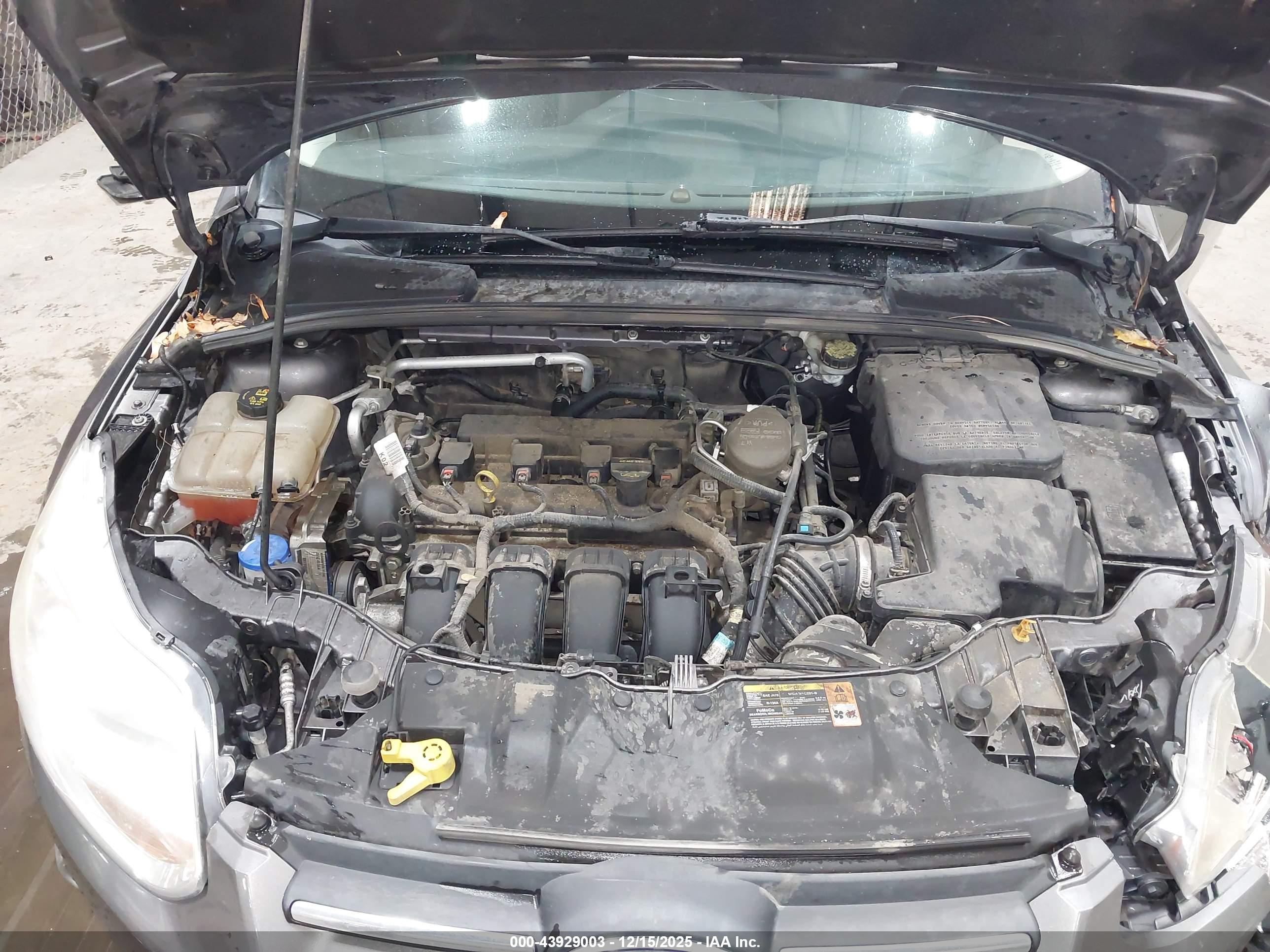 FORD FOCUS image 10