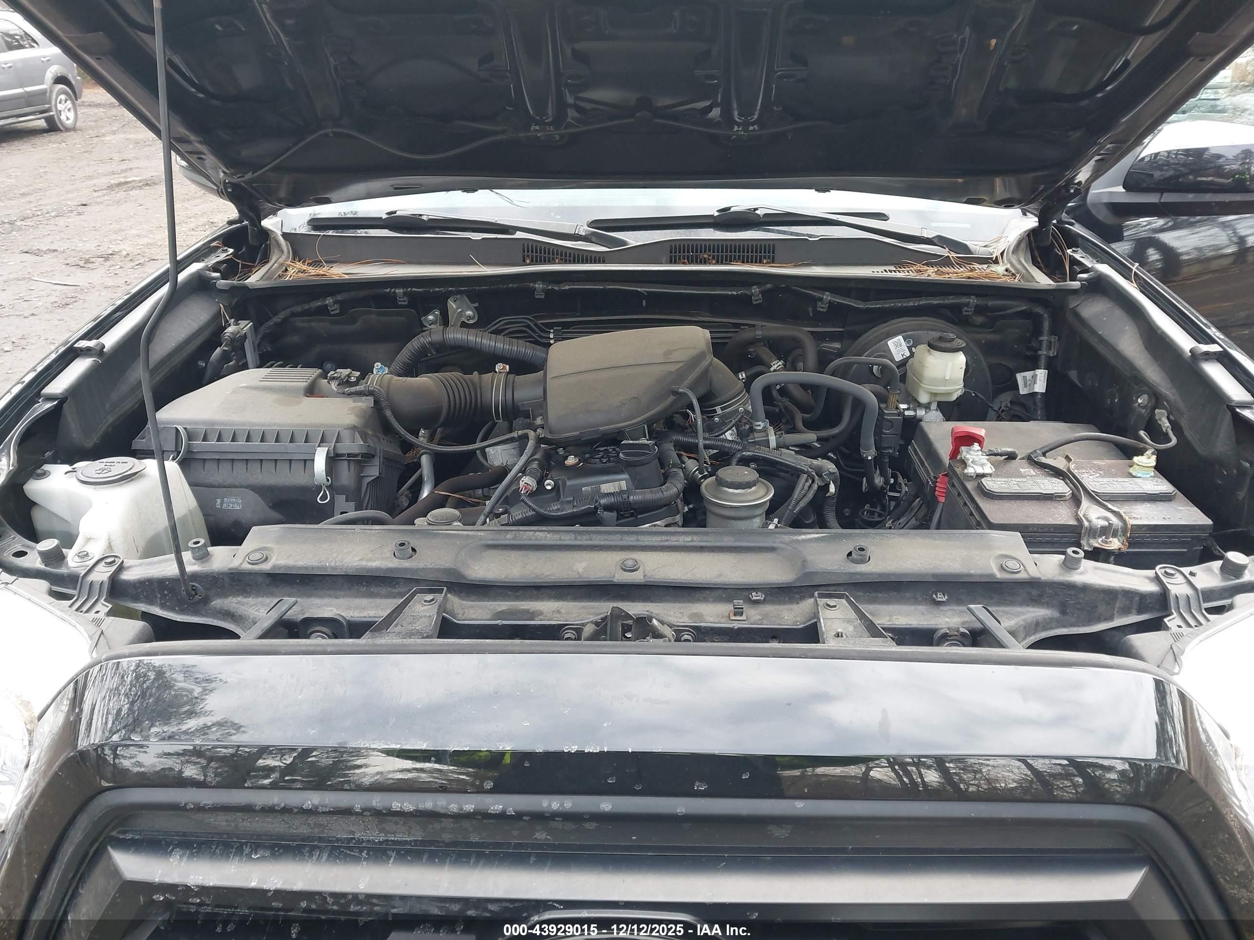 TOYOTA TACOMA image 10