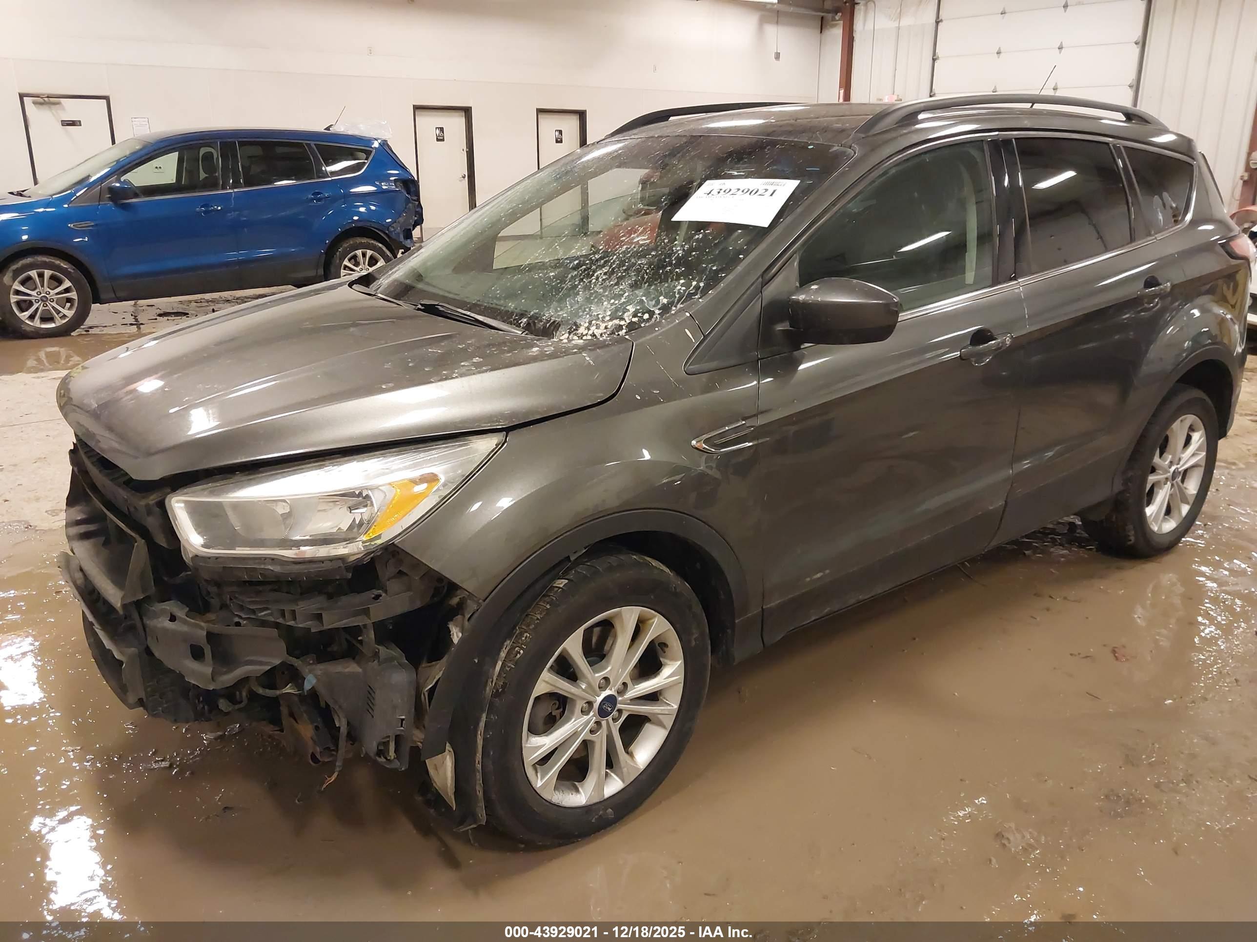 FORD ESCAPE image 2