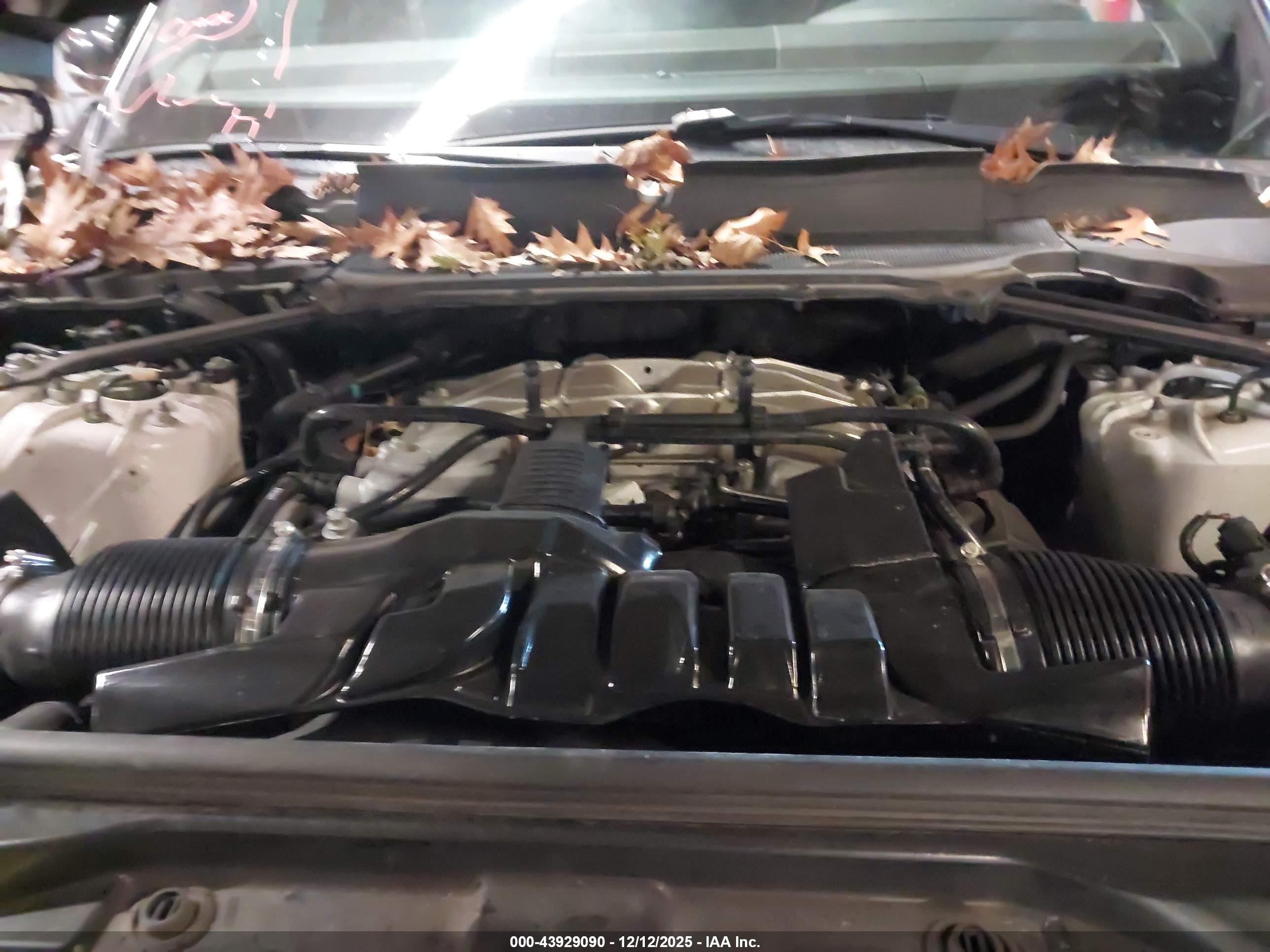 LAND ROVER image 10