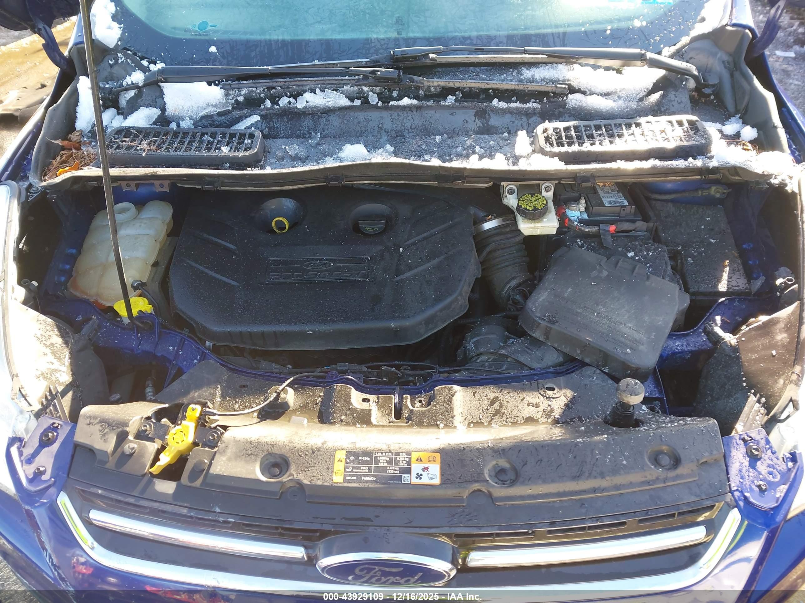FORD ESCAPE image 10