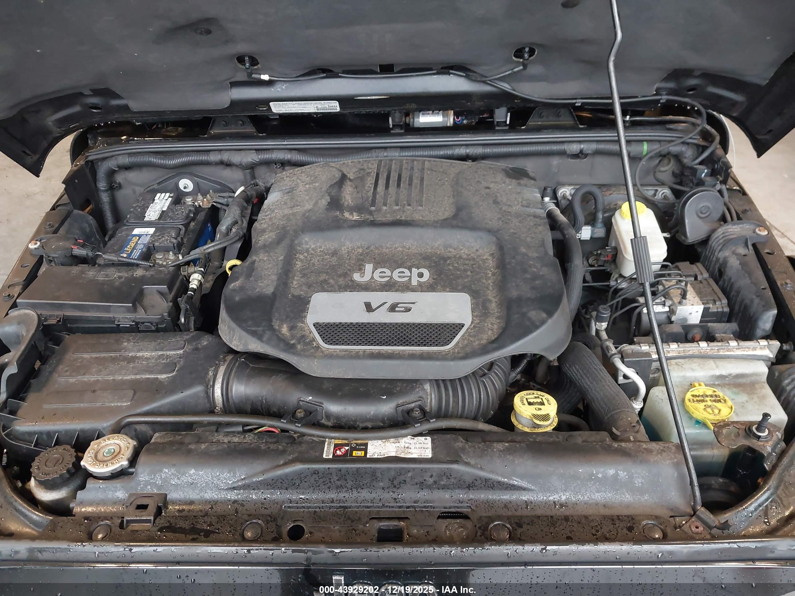 JEEP WRANGLER image 10