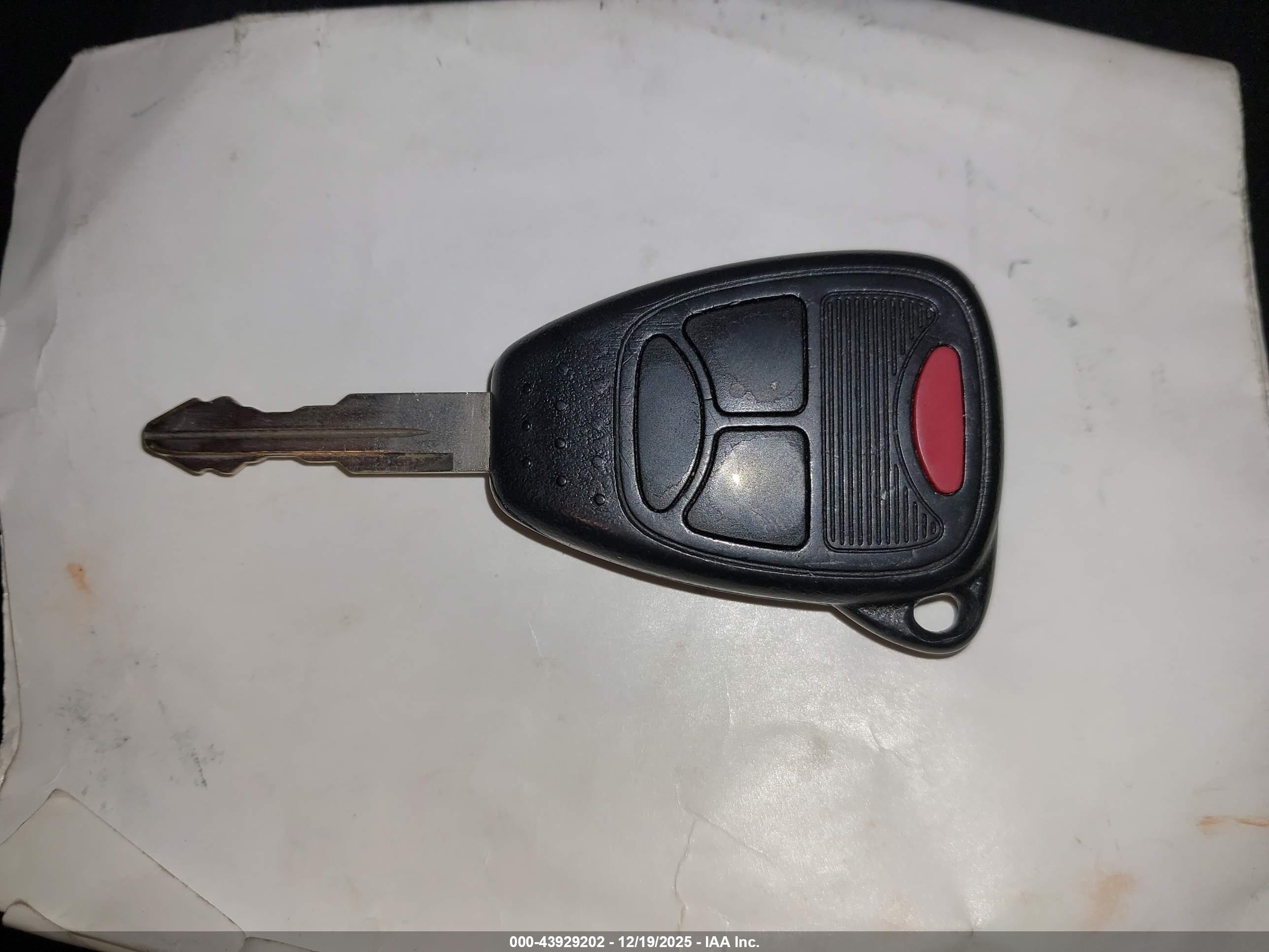 JEEP WRANGLER image 11