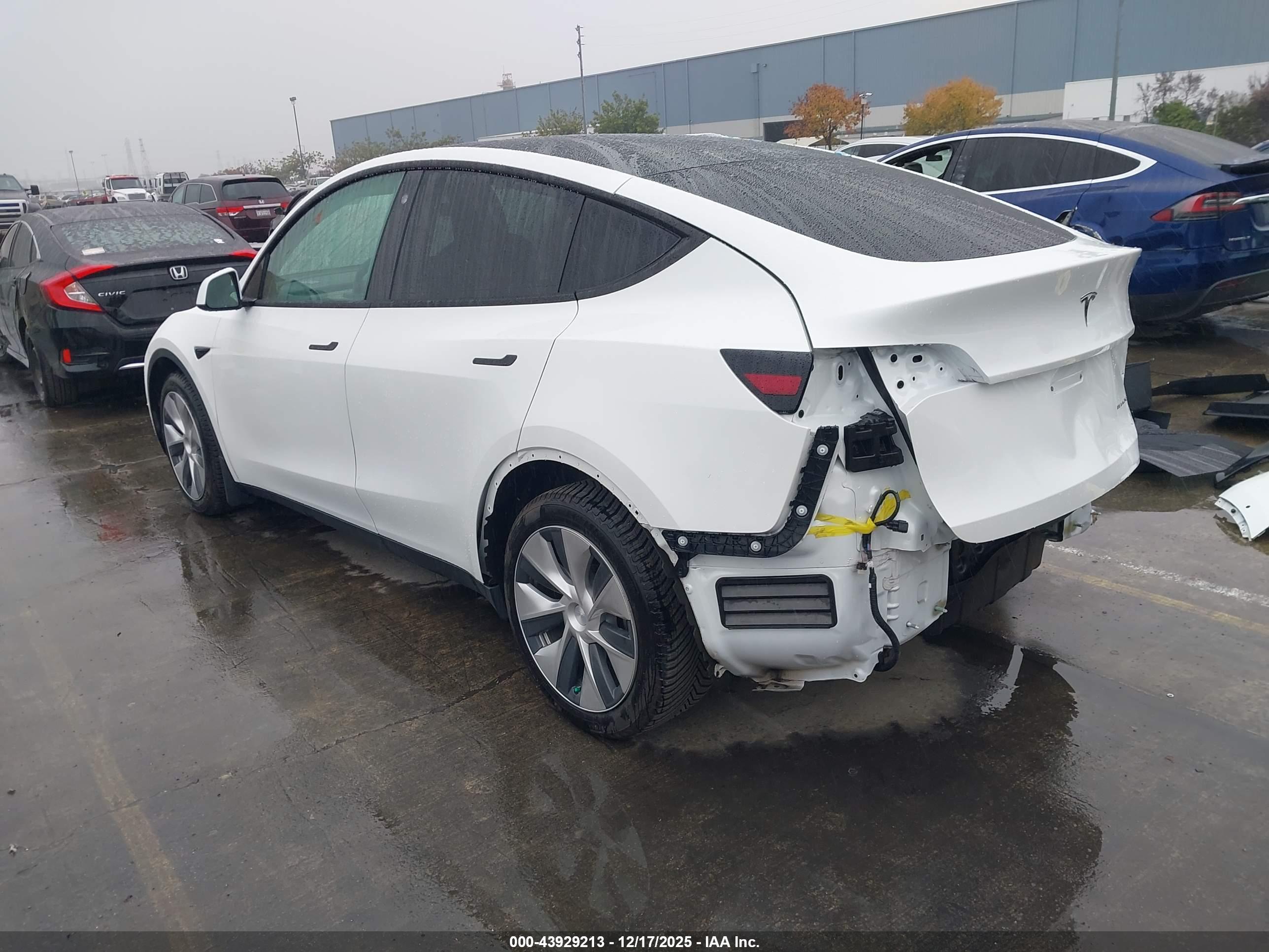 TESLA MODEL image 3
