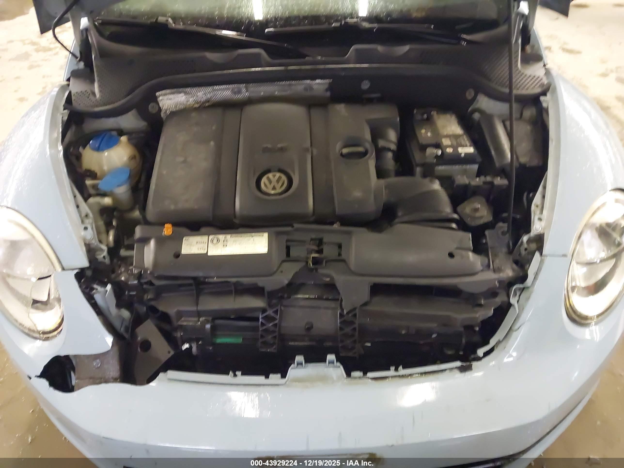 VOLKSWAGEN BEETLE image 10