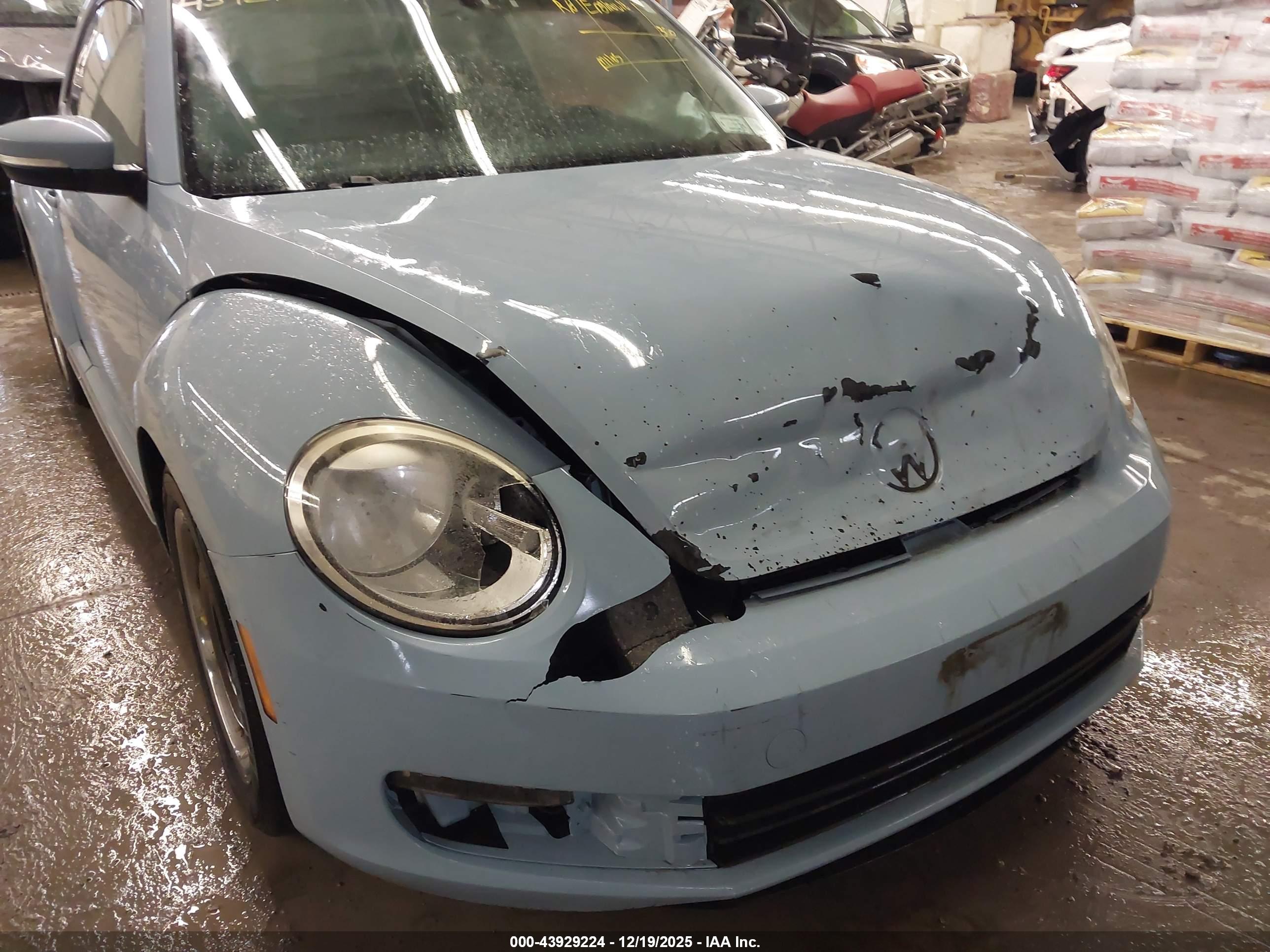 VOLKSWAGEN BEETLE image 6
