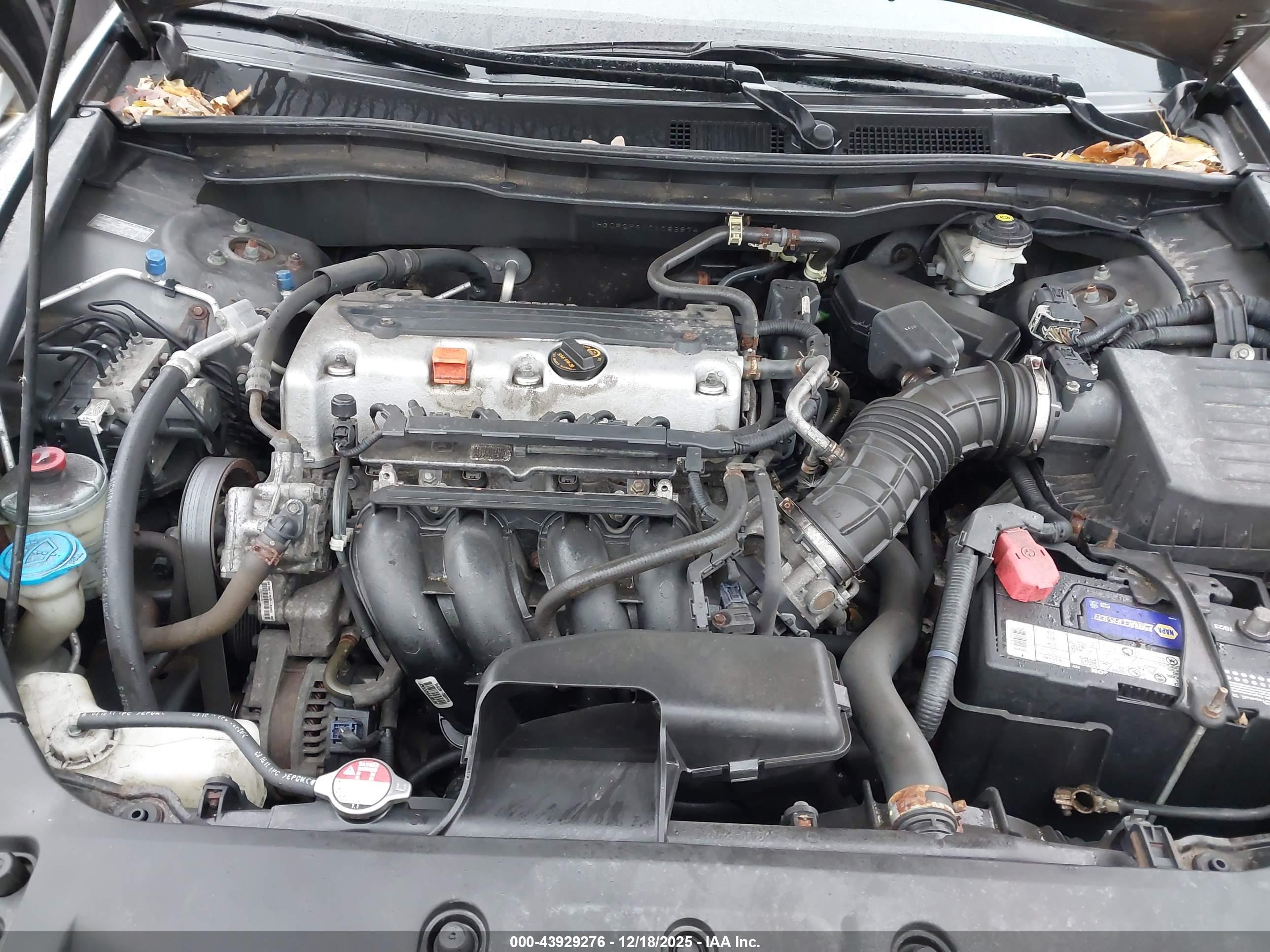 HONDA ACCORD image 10