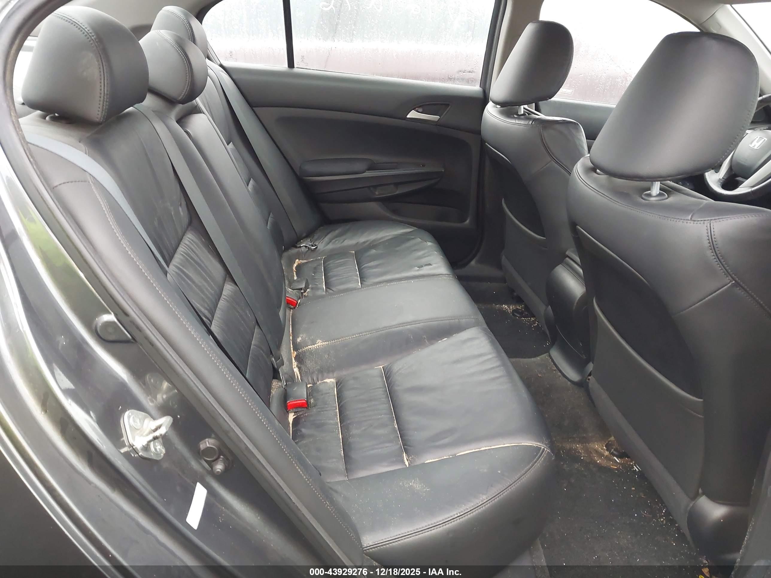 HONDA ACCORD image 8