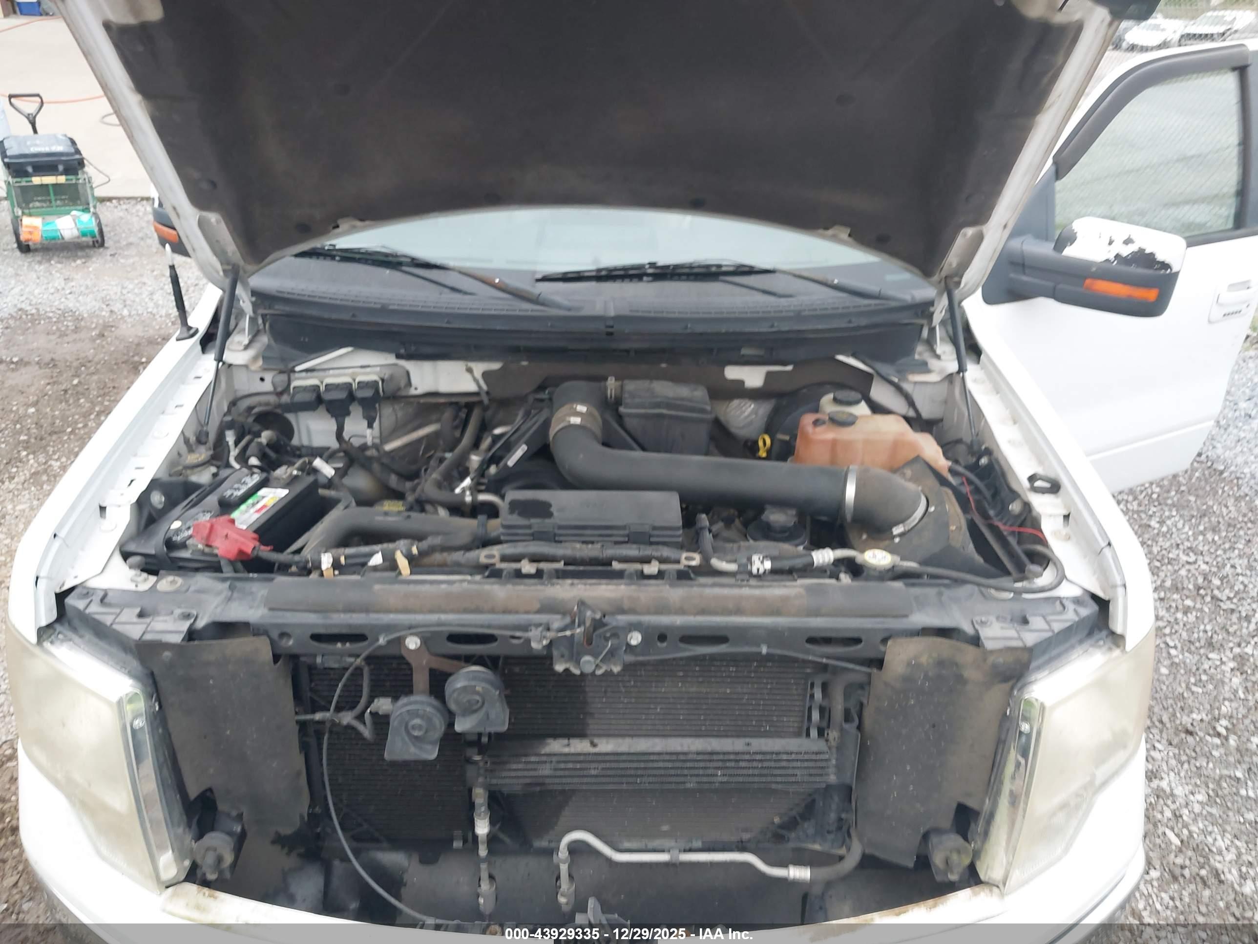 FORD F-150 image 10