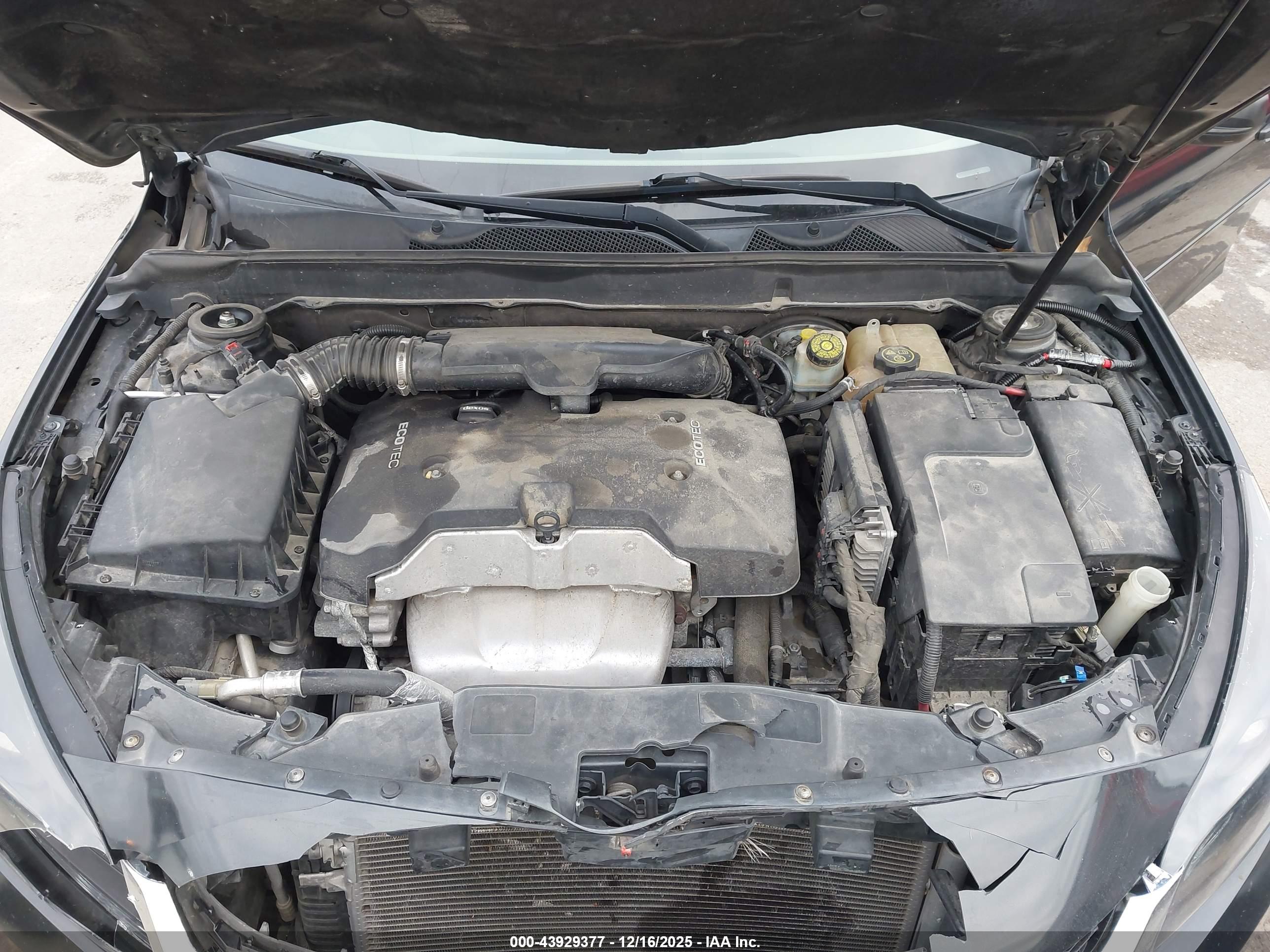 CHEVROLET MALIBU image 10