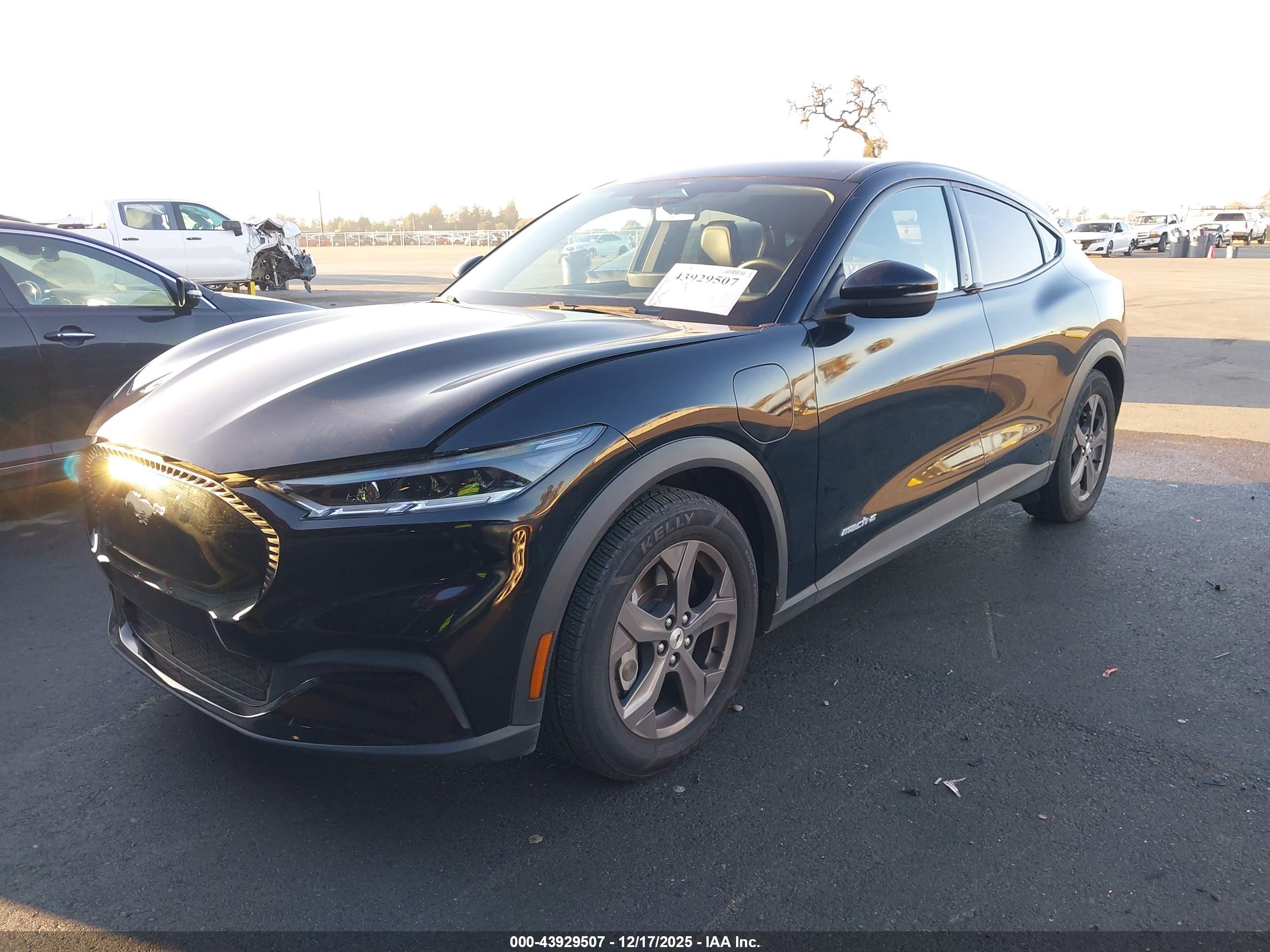 FORD MUSTANG image 2
