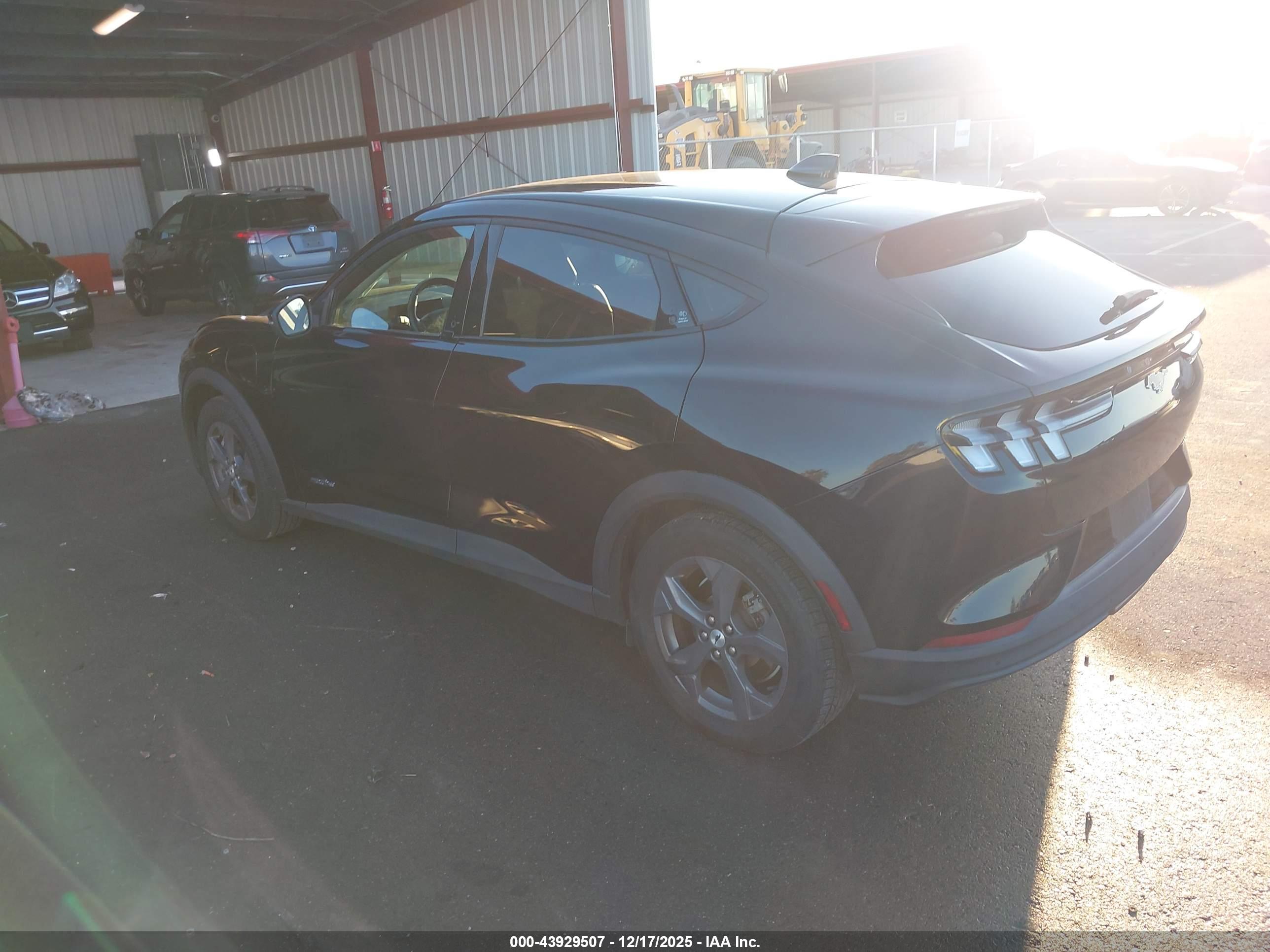 FORD MUSTANG image 3