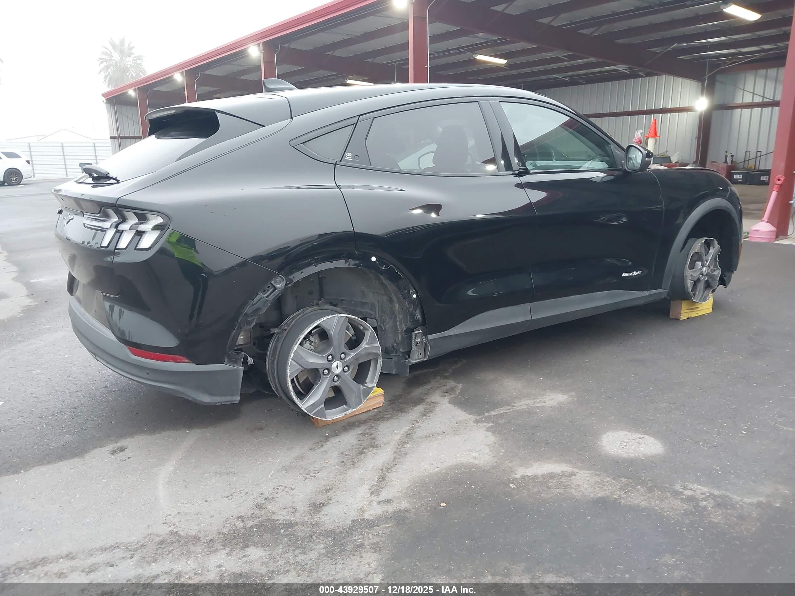 FORD MUSTANG image 4