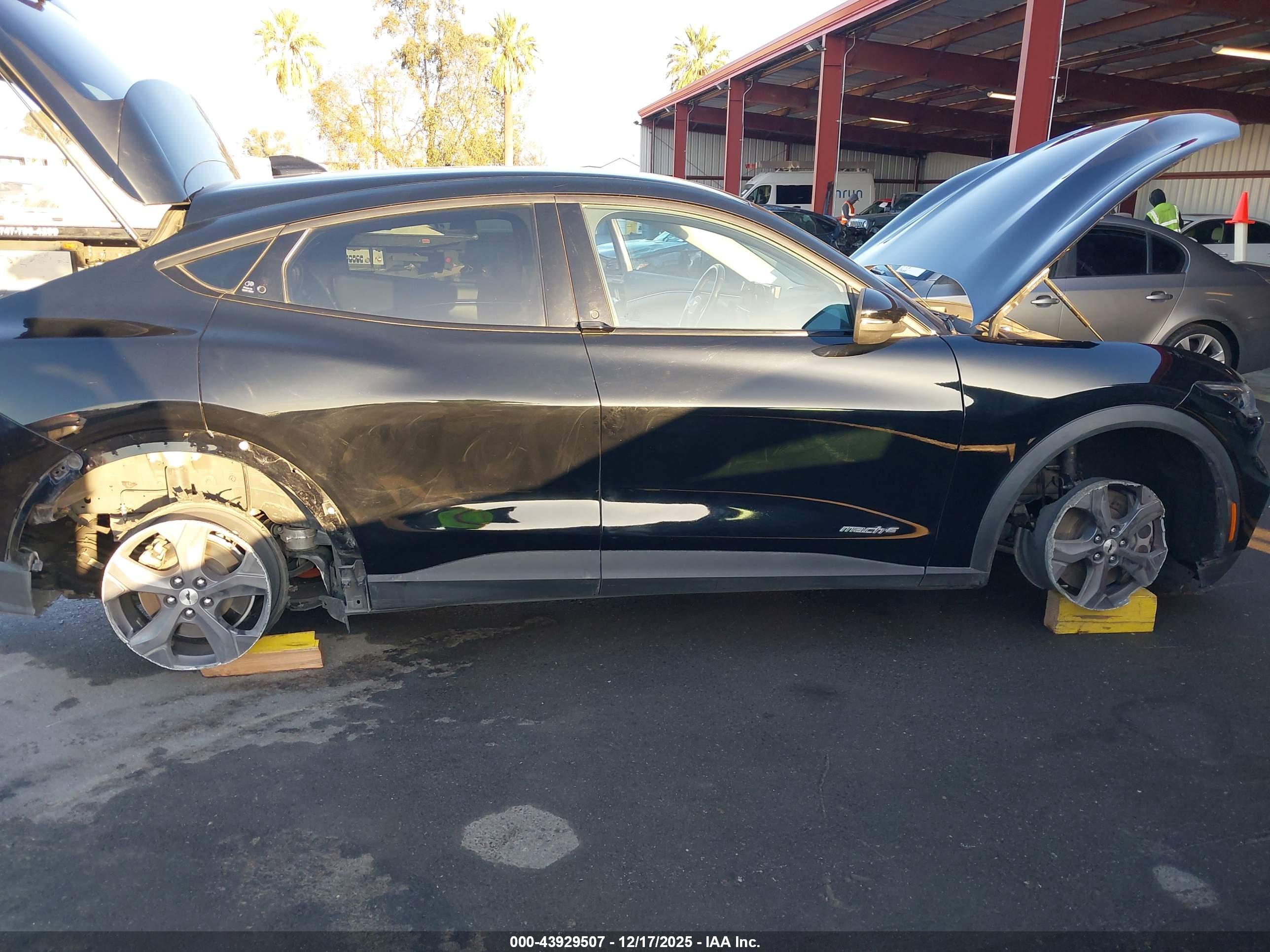 FORD MUSTANG image 6