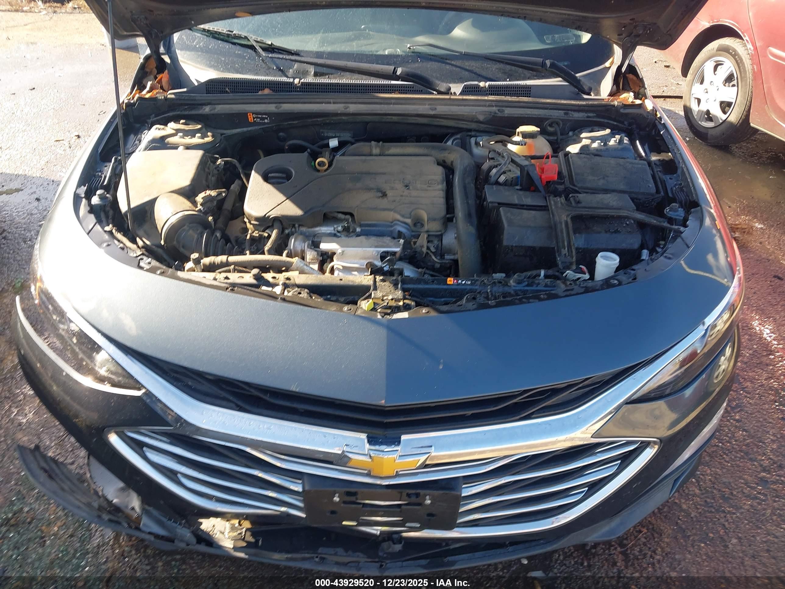 CHEVROLET MALIBU image 10